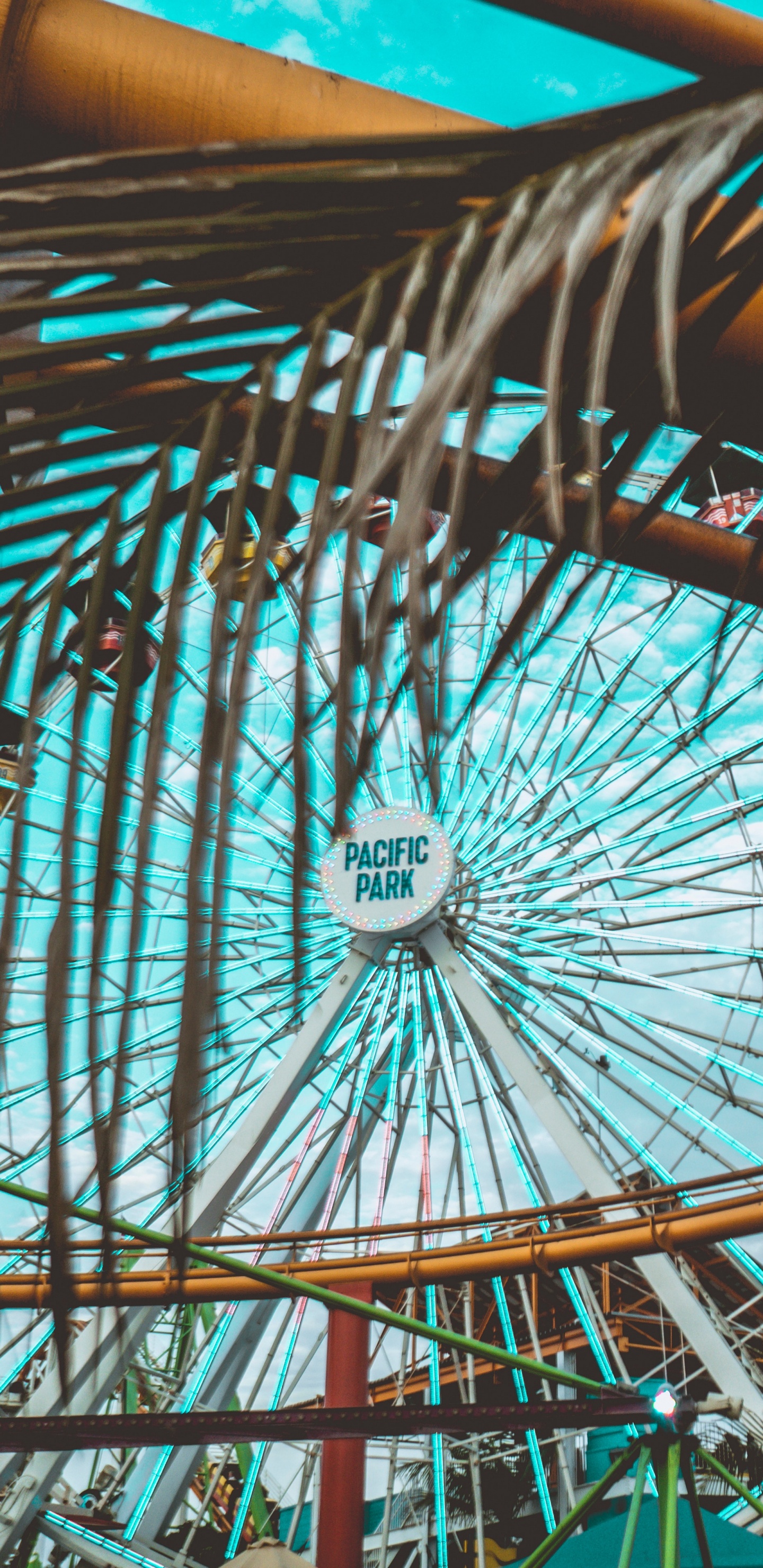 Обои колесо обозрения, парк развлечений, аттракцион, достопримечательность, колесо в разрешении 1440x2960