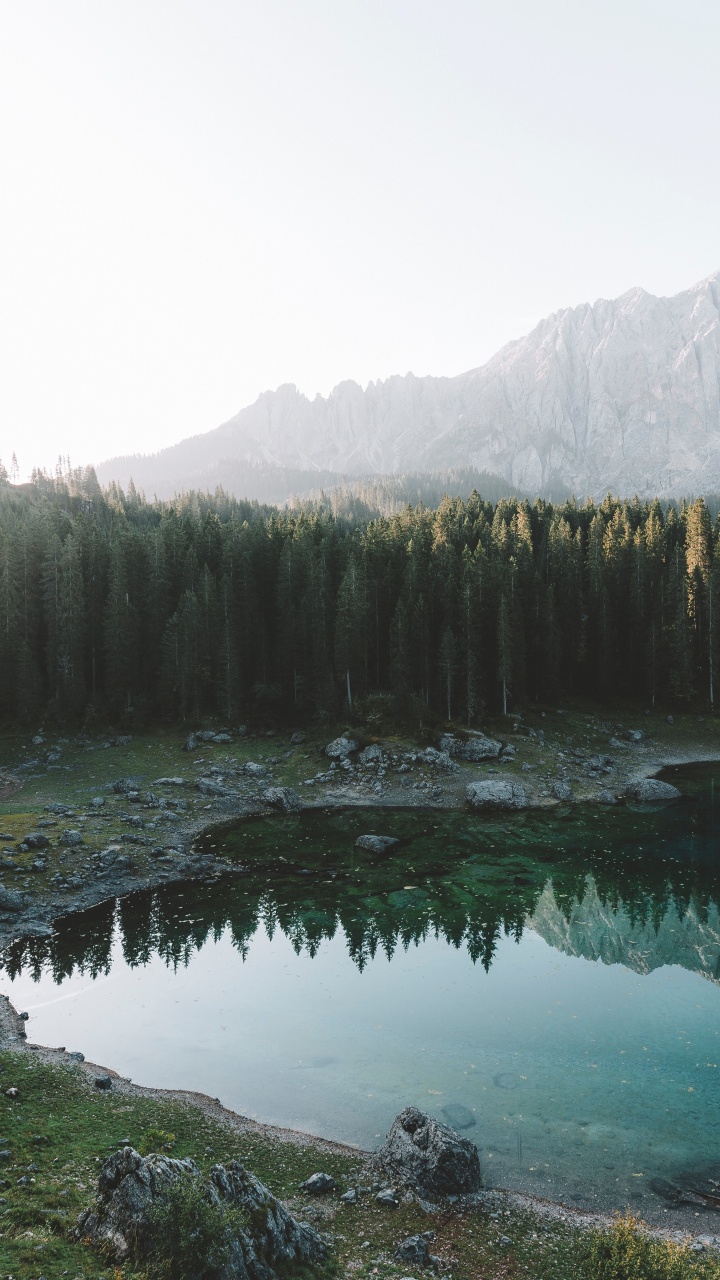 Обои пихта, лес, озеро, природный ландшафт, природа в разрешении 720x1280