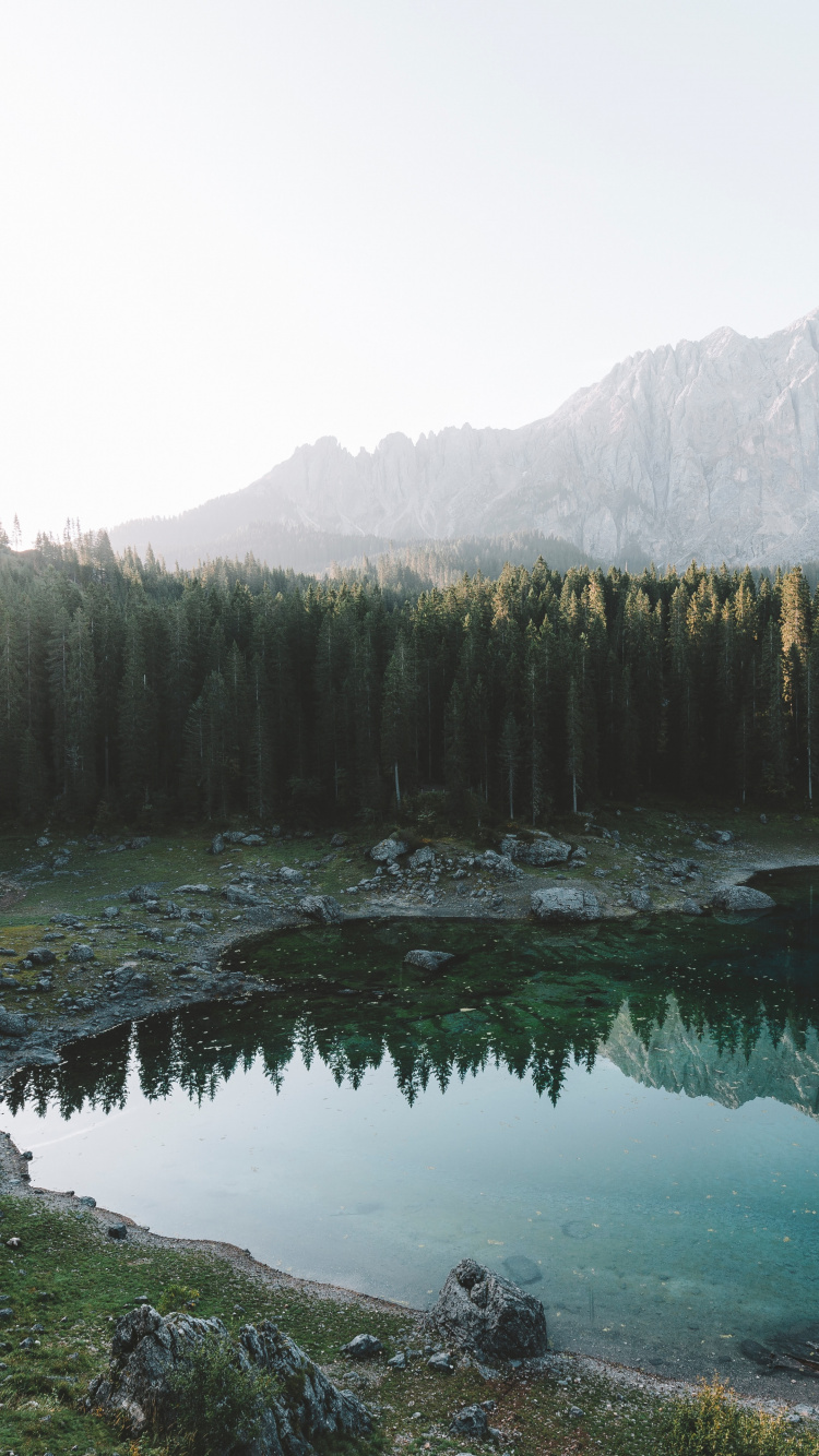 Обои пихта, лес, озеро, природный ландшафт, природа в разрешении 750x1334