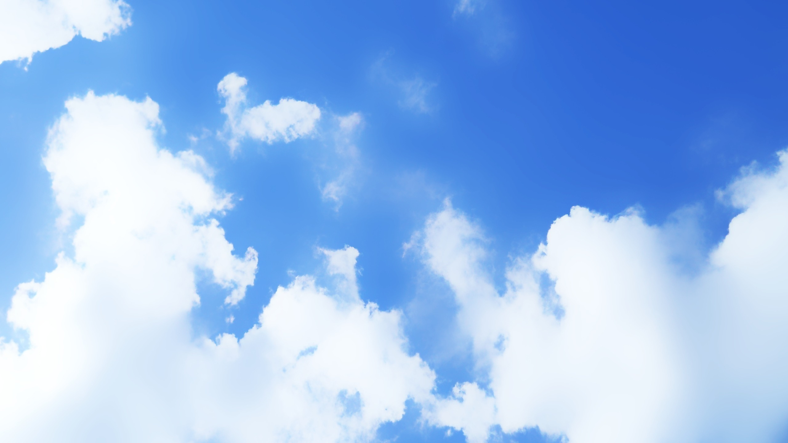 Обои облако, синий, дневное время, кучевое облако, атмосфера в разрешении 2560x1440