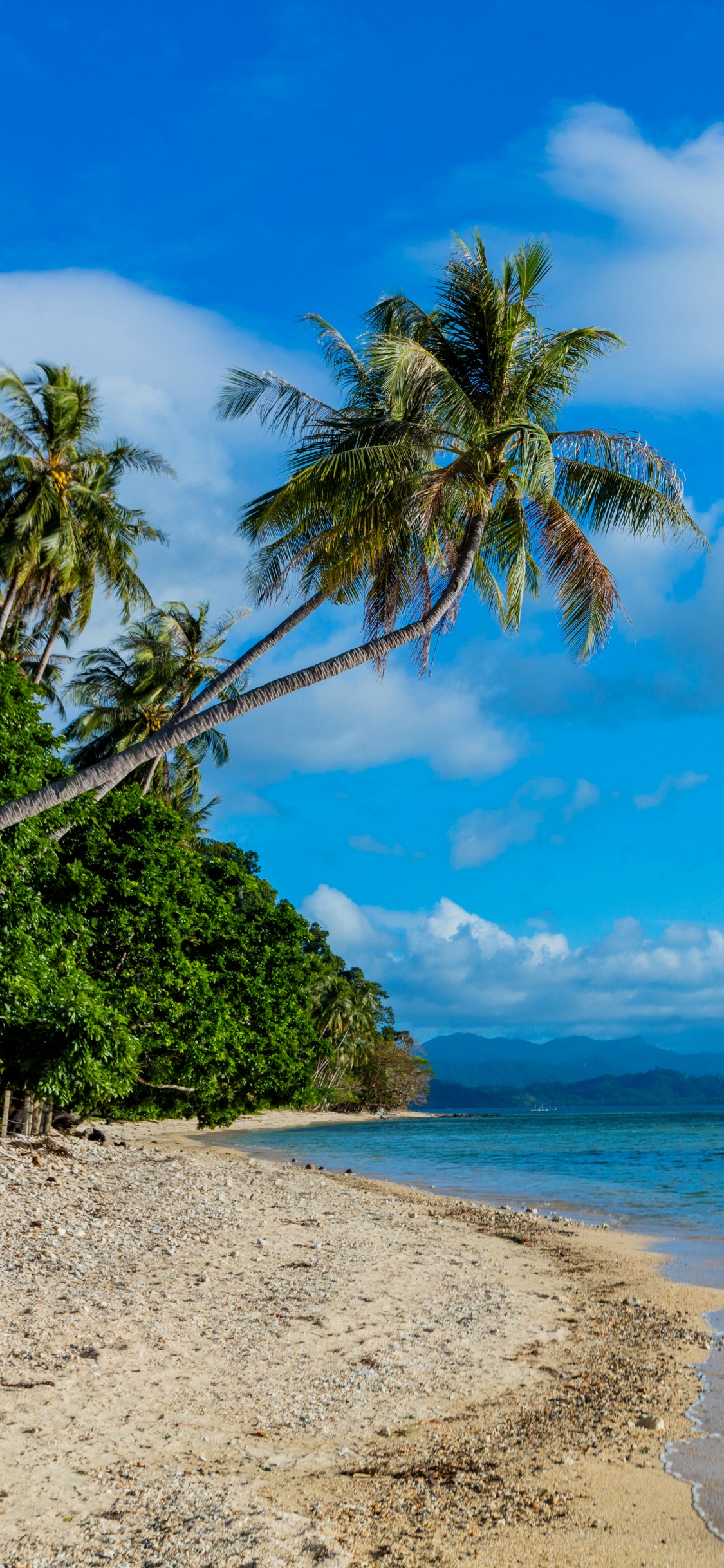 Обои Эль Нидо, пляж, тропическая зона, море, побережье в разрешении 1125x2436