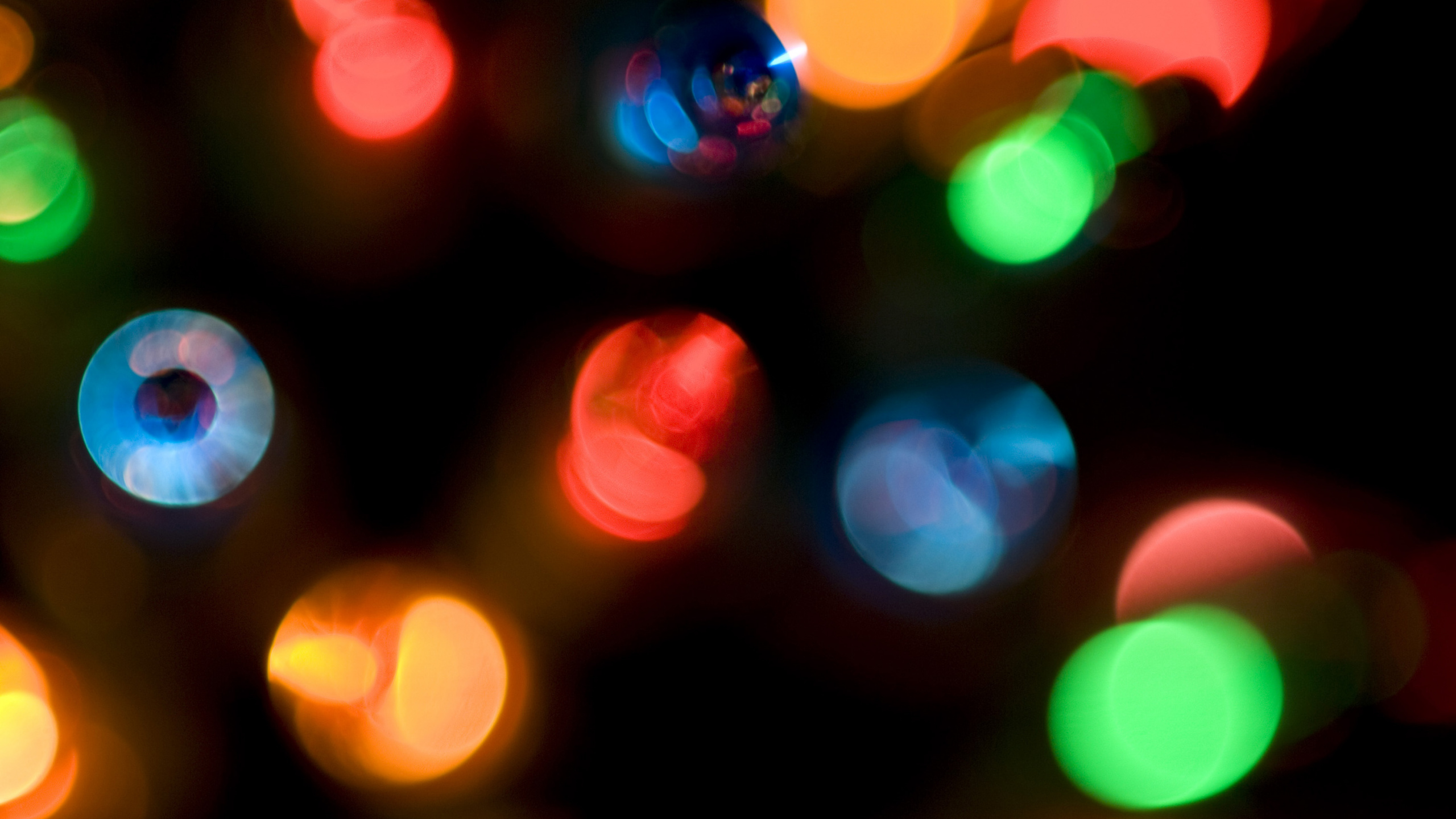 Обои Рождественские огни, Рождественский день, свет, освещение, праздник в разрешении 2560x1440