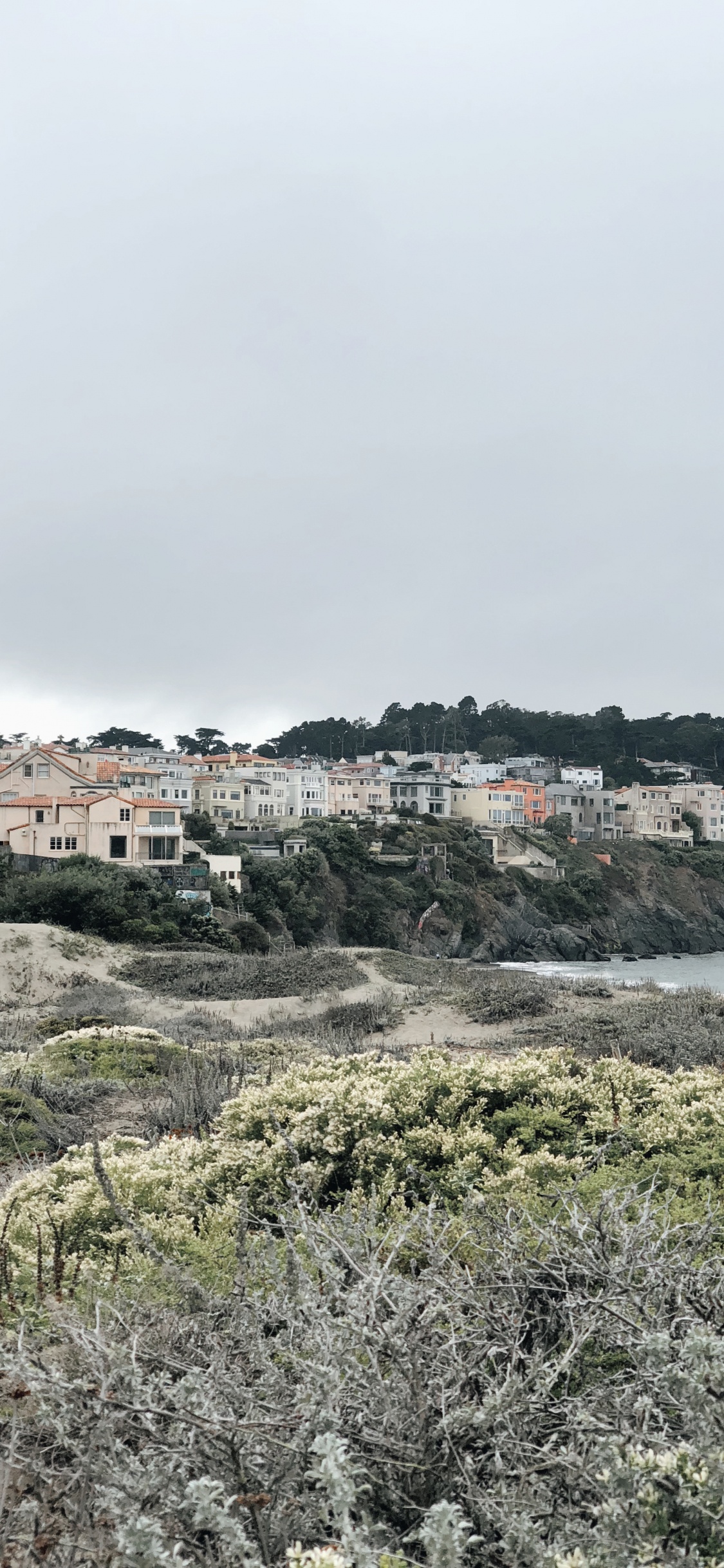 Обои побережье, растительное сообщество, биология, наука, растительность в разрешении 1125x2436