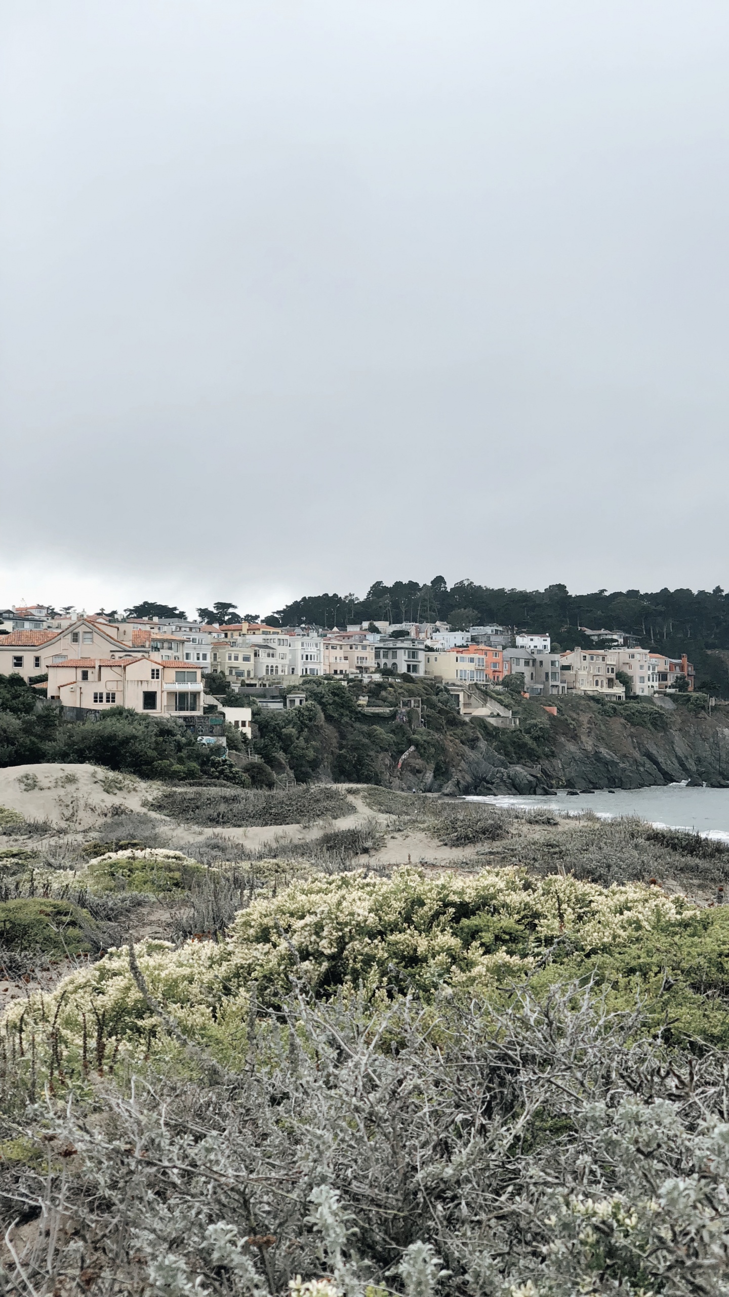 Обои побережье, растительное сообщество, биология, наука, растительность в разрешении 1440x2560