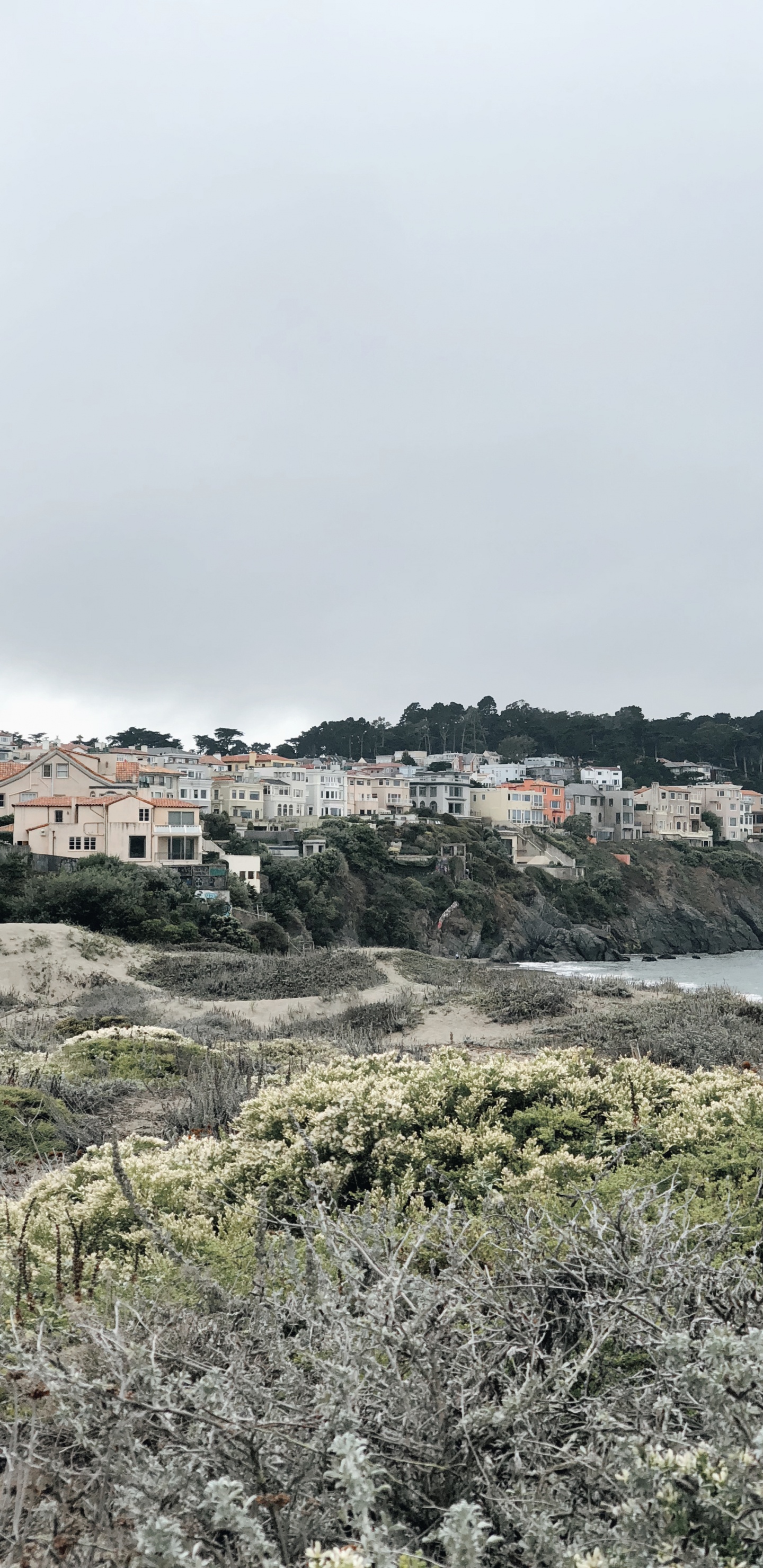 Обои побережье, растительное сообщество, биология, наука, растительность в разрешении 1440x2960