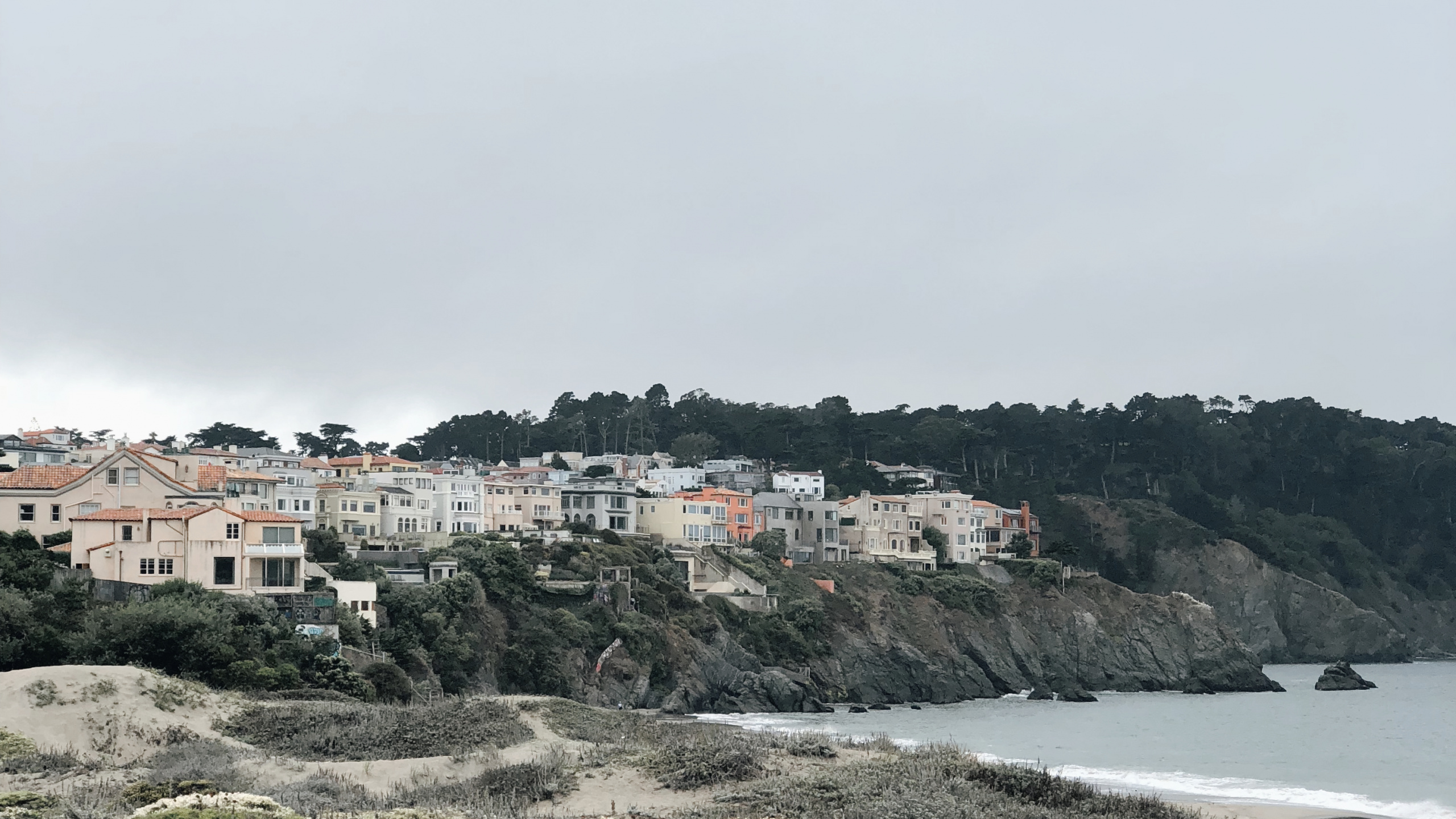 Обои побережье, растительное сообщество, биология, наука, растительность в разрешении 2560x1440