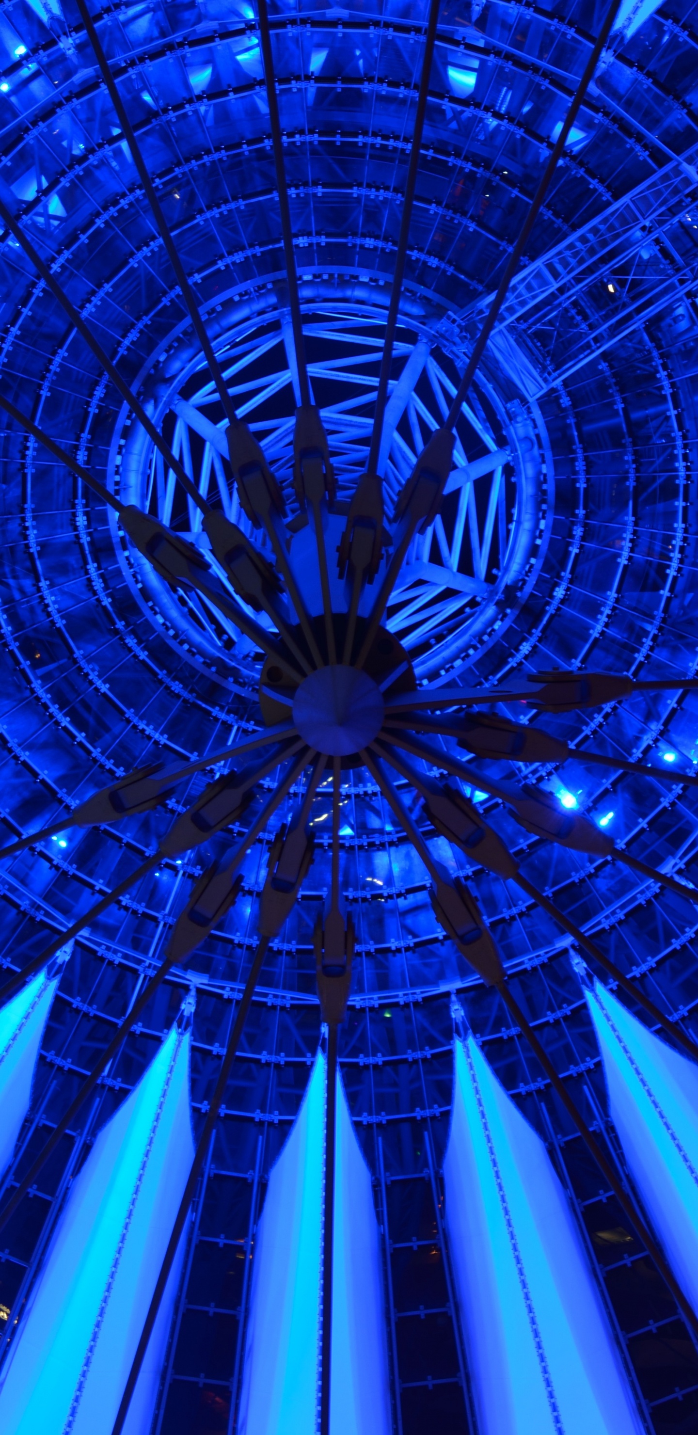 Обои синий, электрик, синий кобальт, симметрия, узор в разрешении 1440x2960