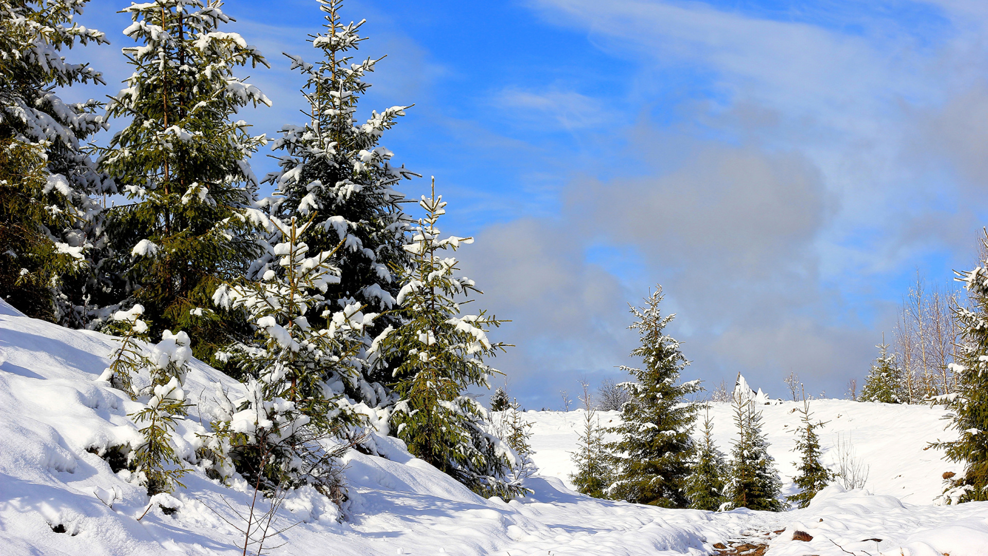 Обои снег, зима, природа, дерево, пейзаж в разрешении 1920x1080