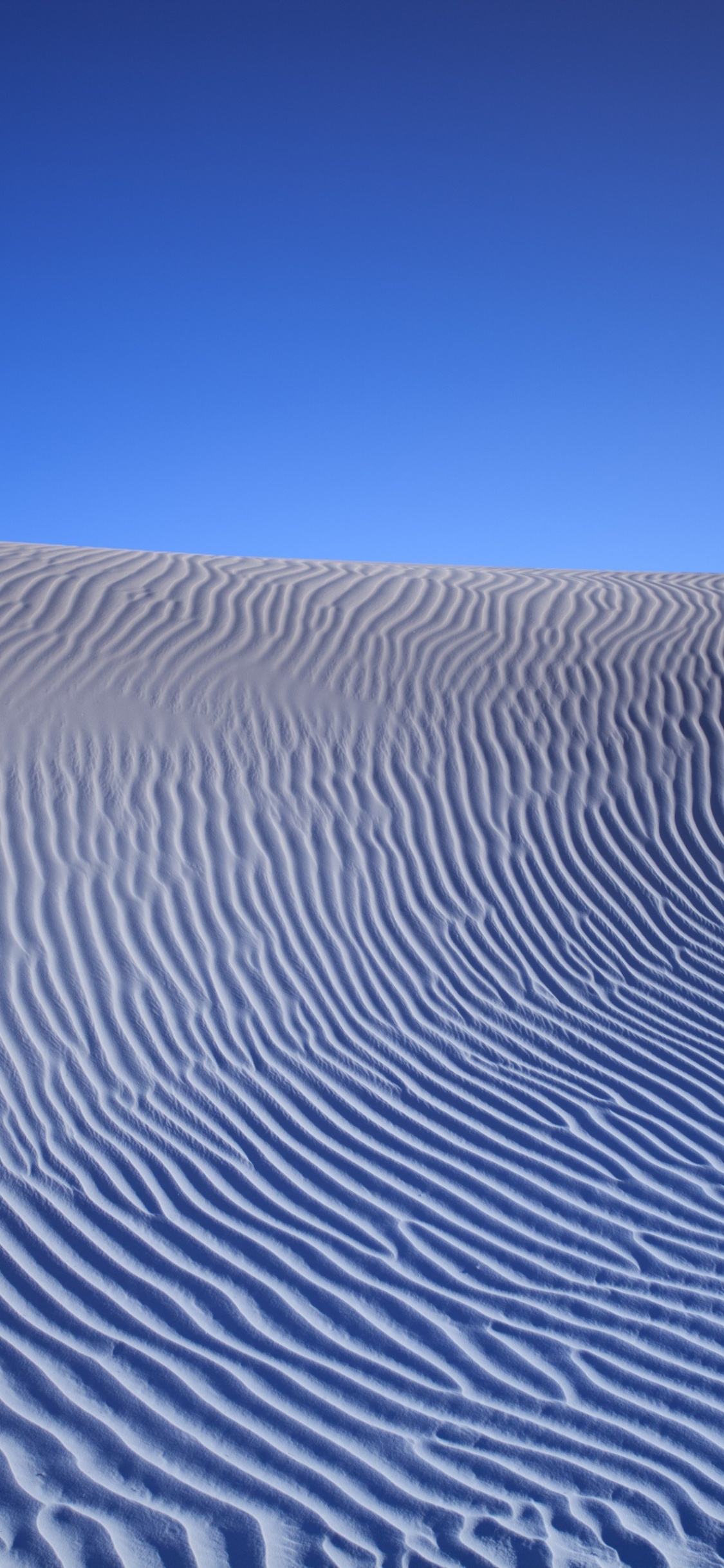 Обои песок, Дюна, линия, эрг, эолийские рельефы в разрешении 1125x2436