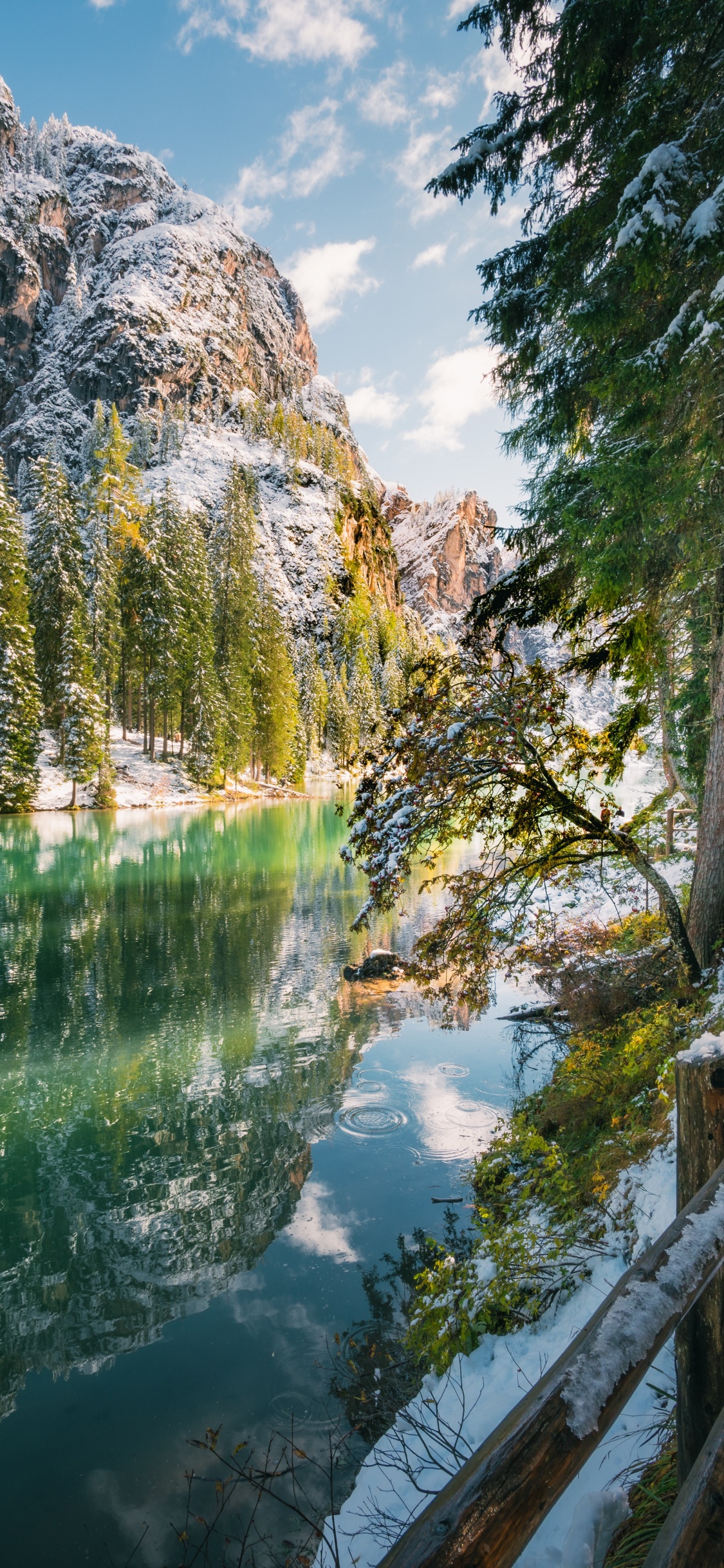 Обои вода, природа, земля, дерево, водоем в разрешении 1125x2436