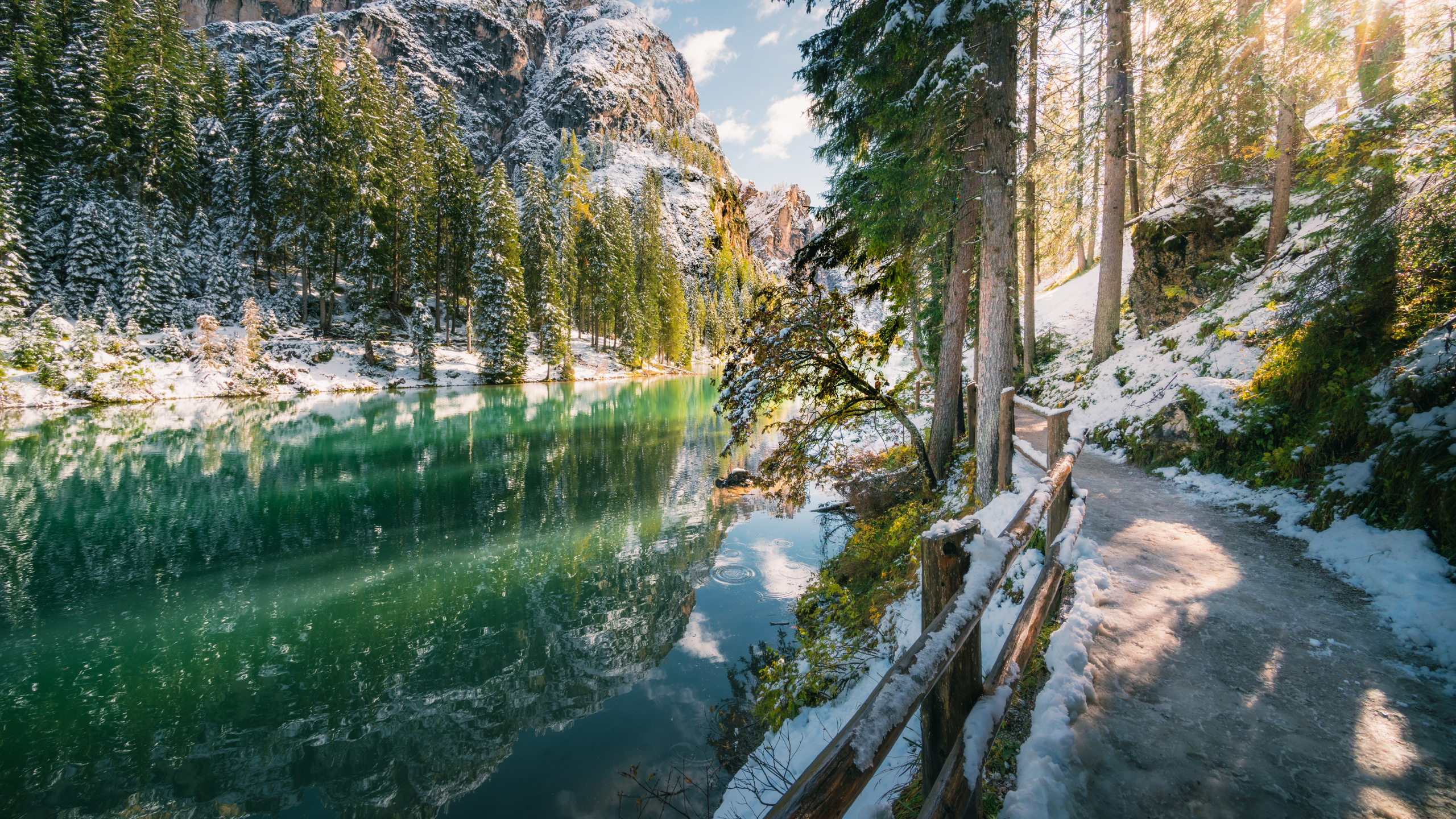 Обои вода, природа, земля, дерево, водоем в разрешении 2560x1440