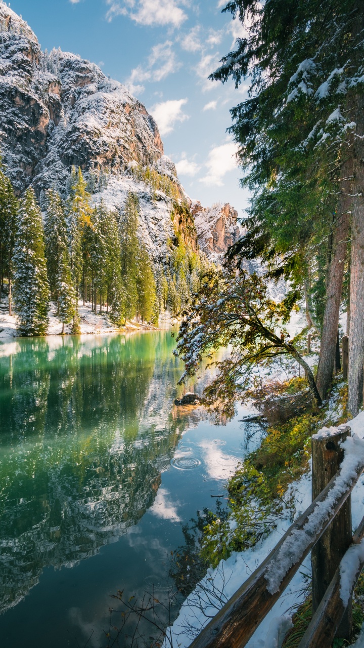 Обои вода, природа, земля, дерево, водоем в разрешении 720x1280