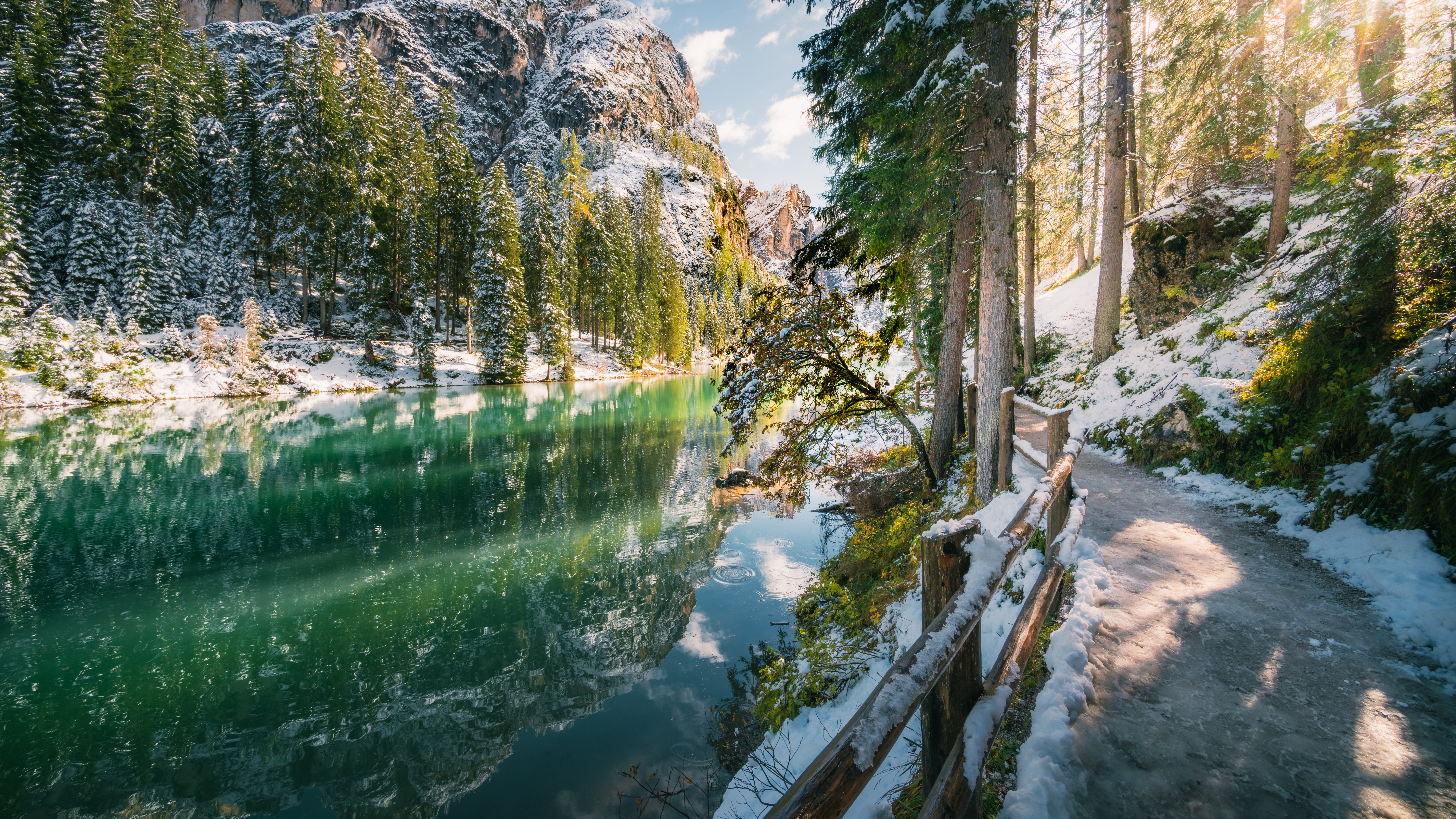 Обои вода, природа, земля, дерево, водоем в разрешении 7680x4320