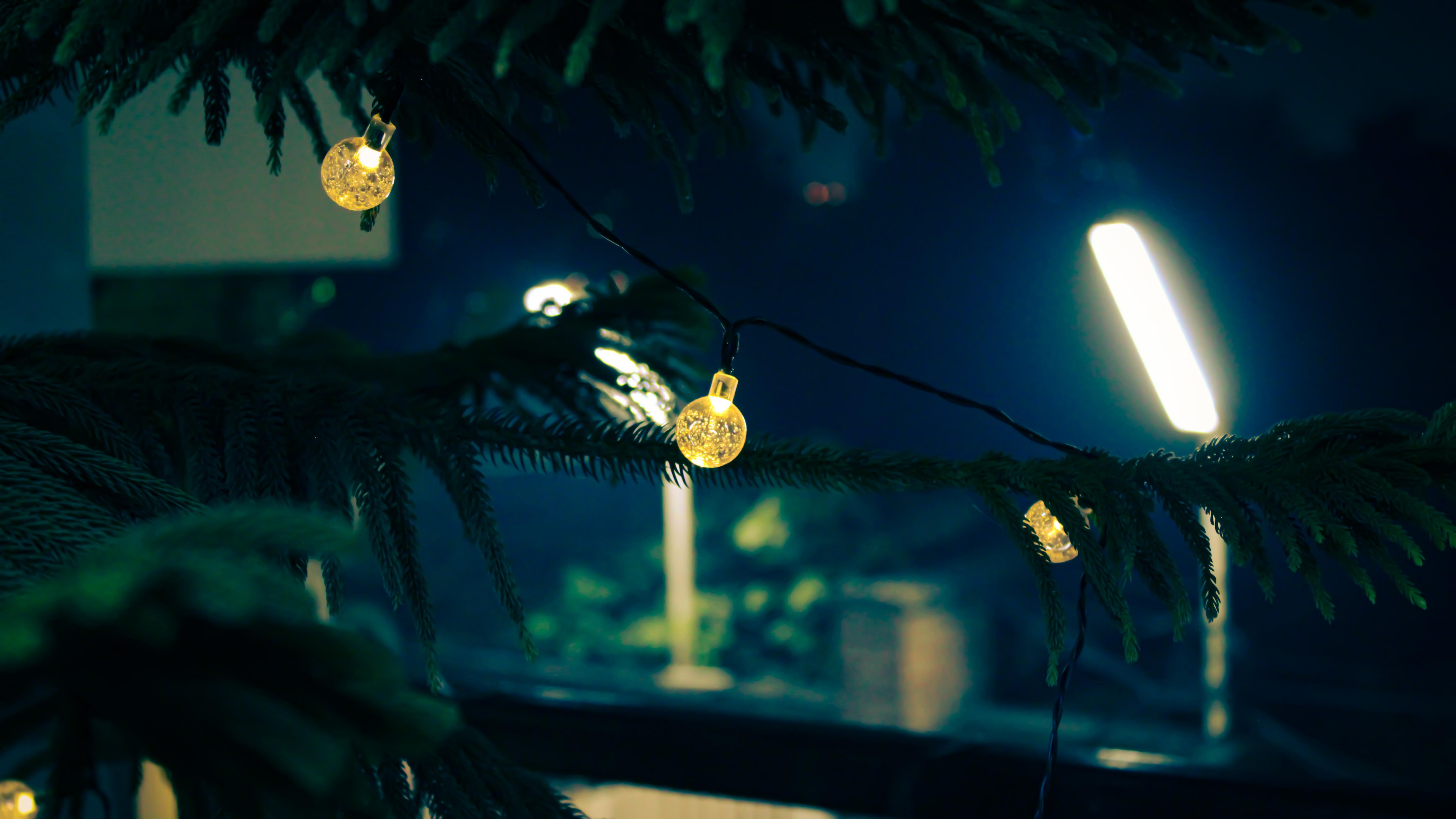 Обои ночь, лист, биология, рассада, наука в разрешении 3840x2160