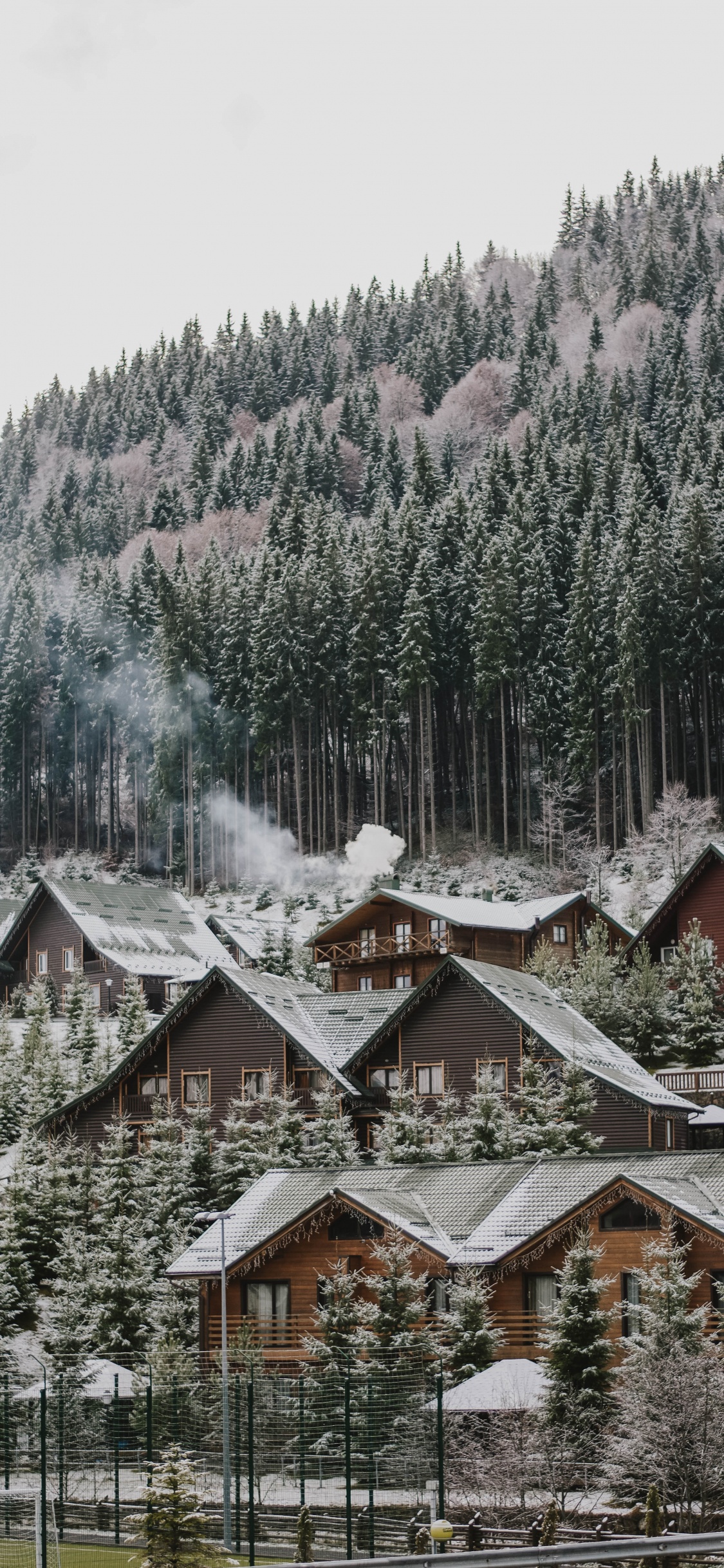 Обои дерево, снег, зима, родина, жилой район в разрешении 1125x2436