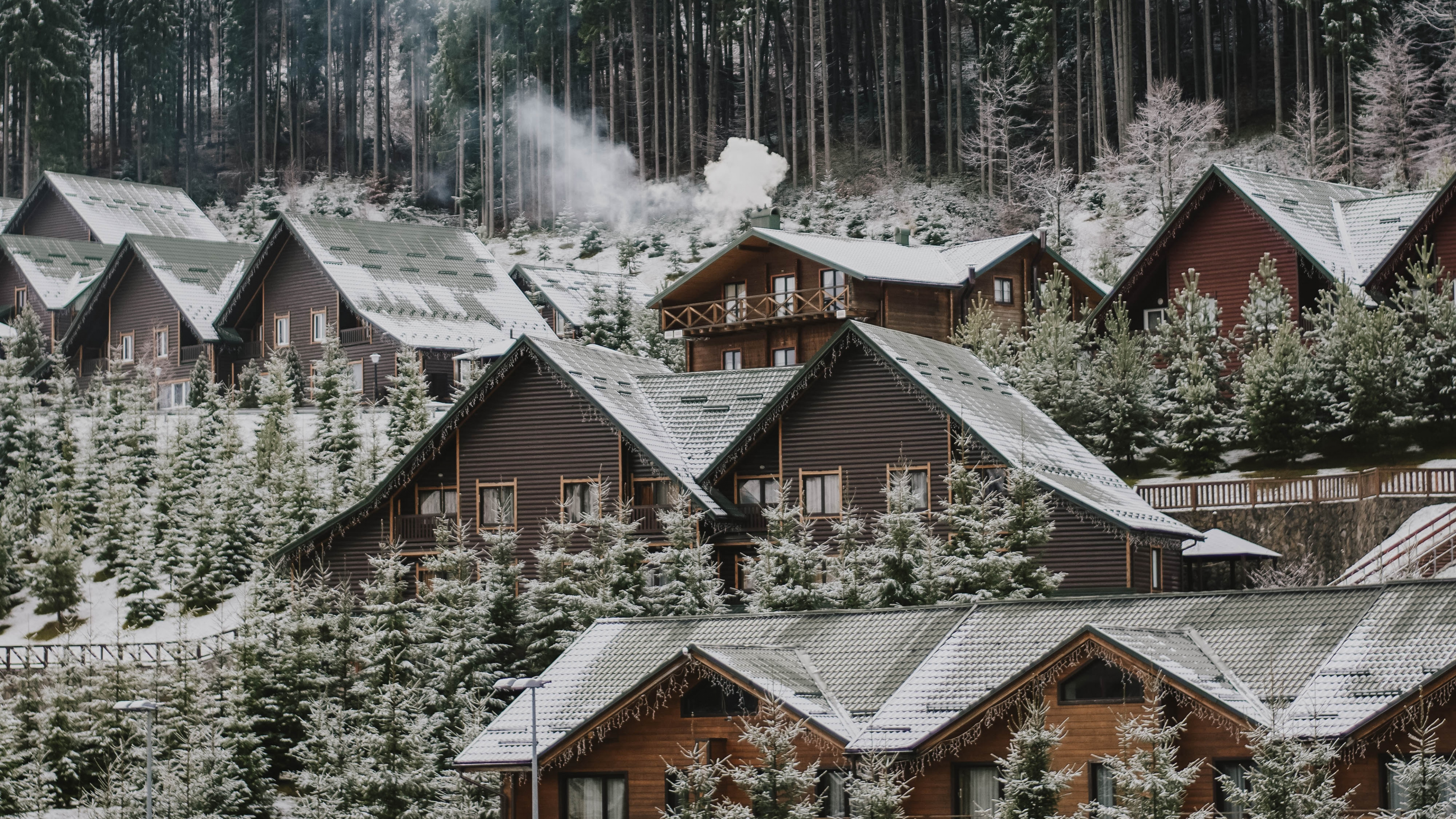 Обои дерево, снег, зима, родина, жилой район в разрешении 3840x2160