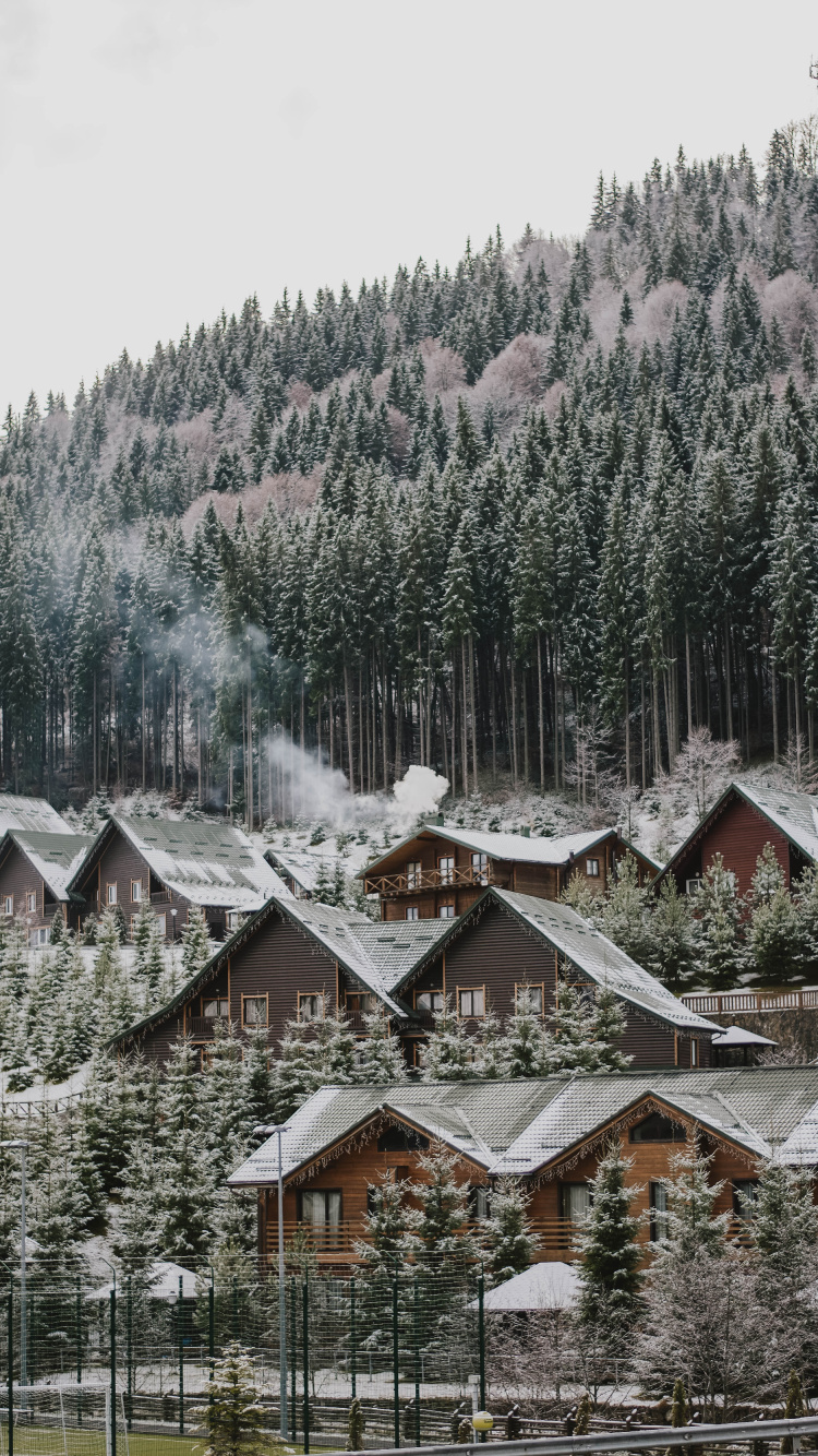Обои дерево, снег, зима, родина, жилой район в разрешении 750x1334