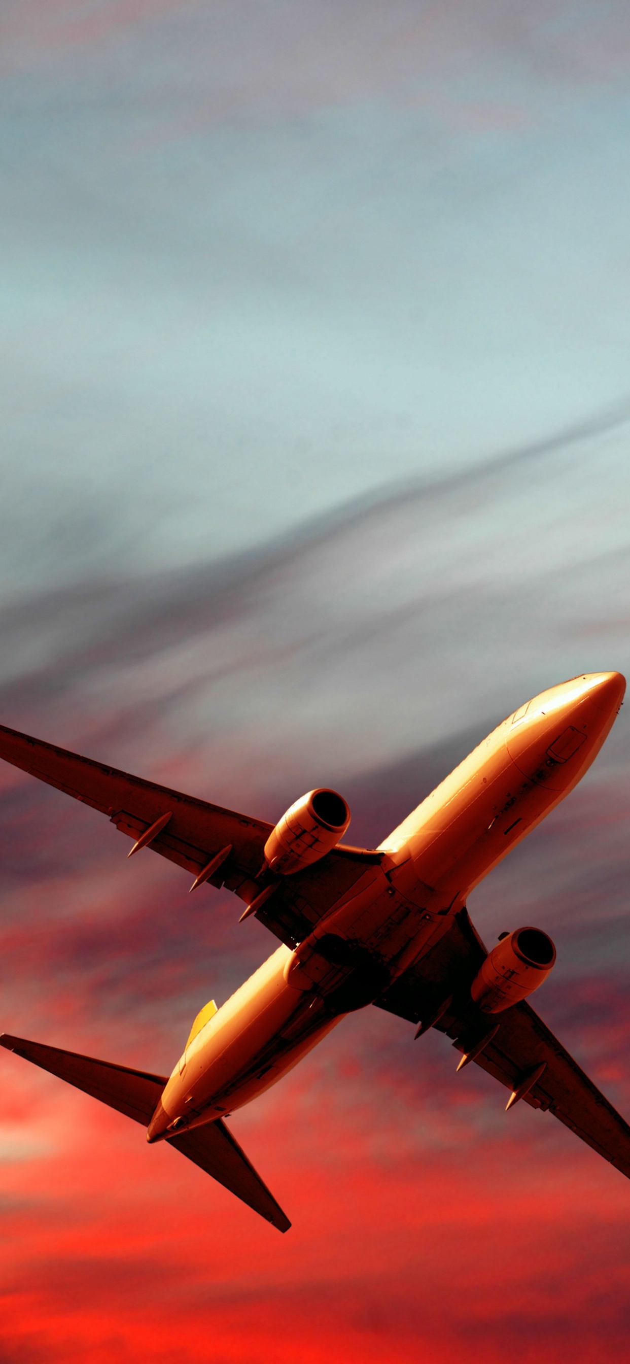 Обои самолет, самолеты, полет, авиация, воздушное путешествие в разрешении 1242x2688