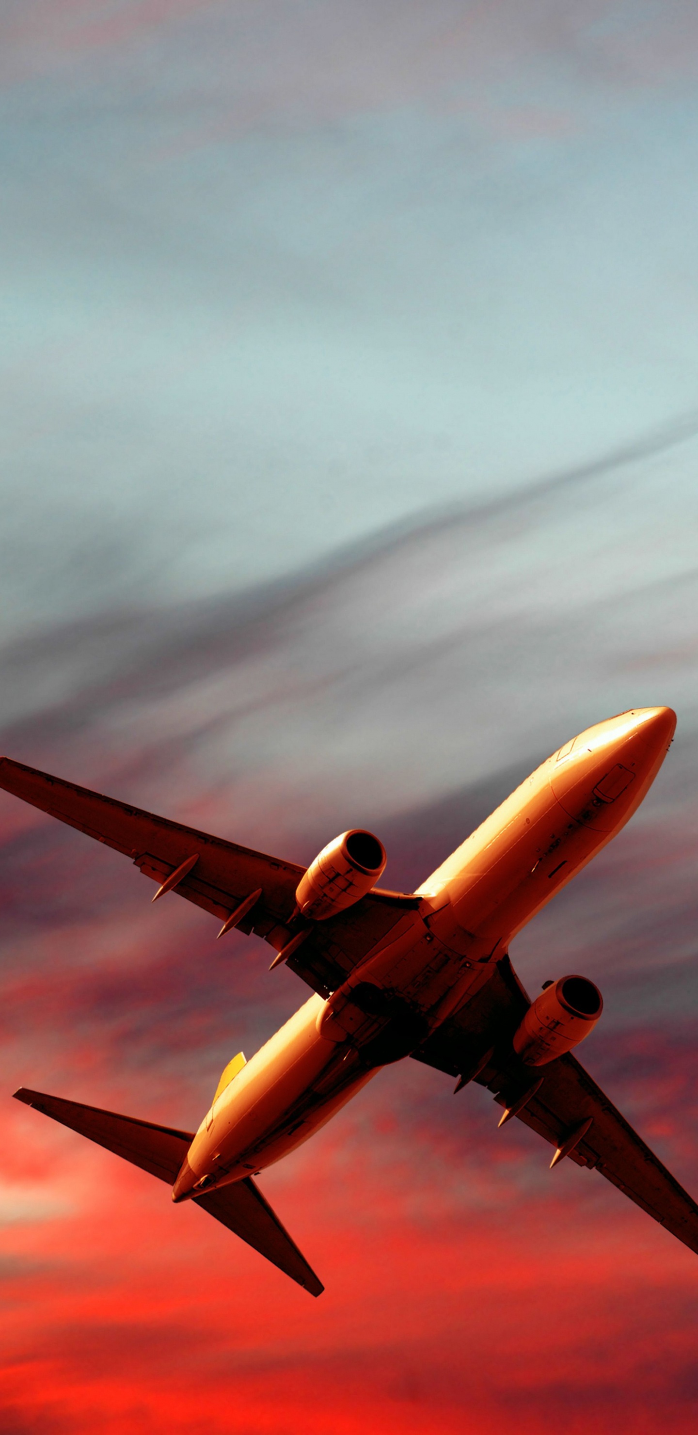 Обои самолет, самолеты, полет, авиация, воздушное путешествие в разрешении 1440x2960