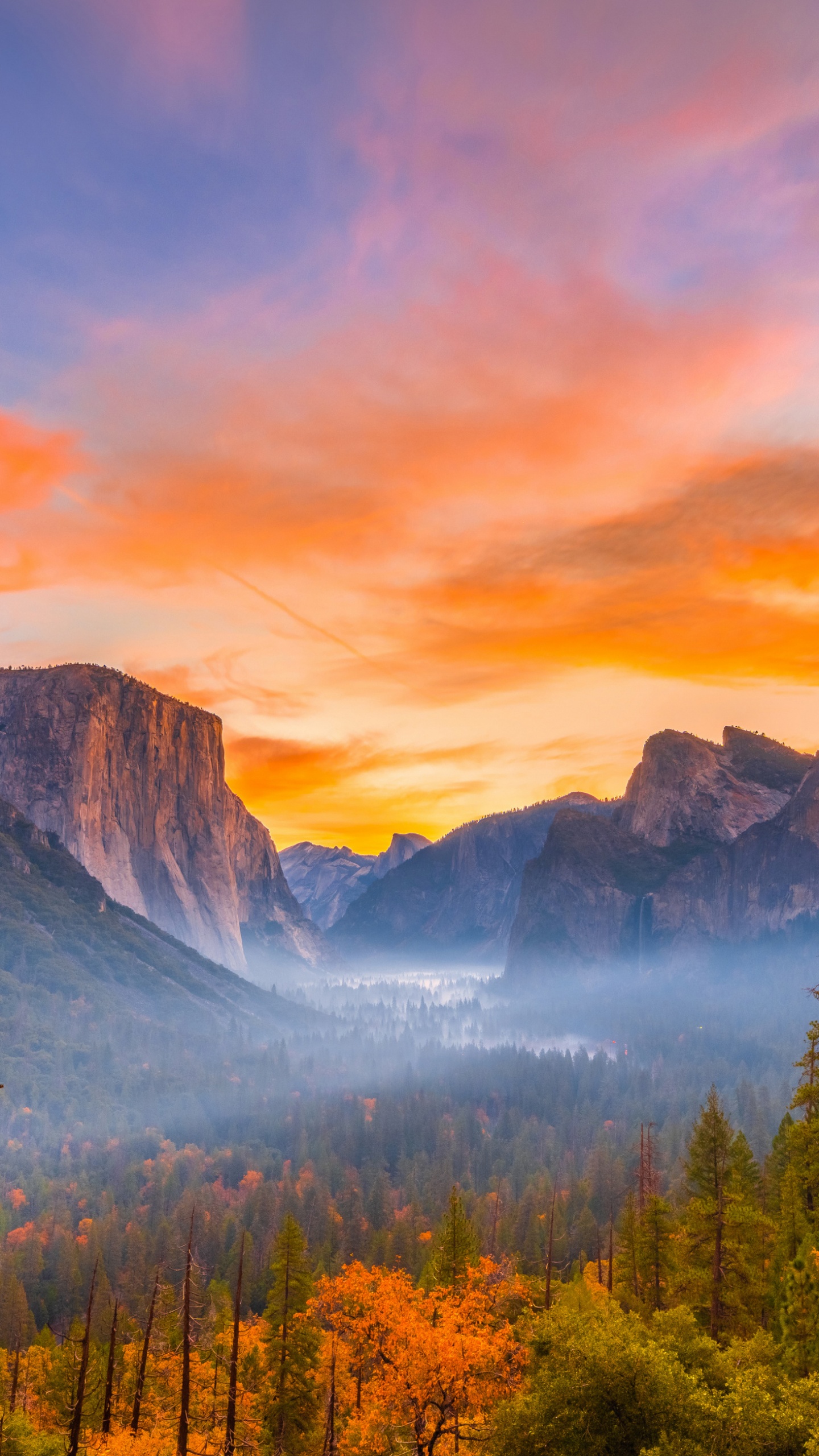 Обои йосемитский национальный парк, йосемити, национальный парк, парк, природа в разрешении 1440x2560