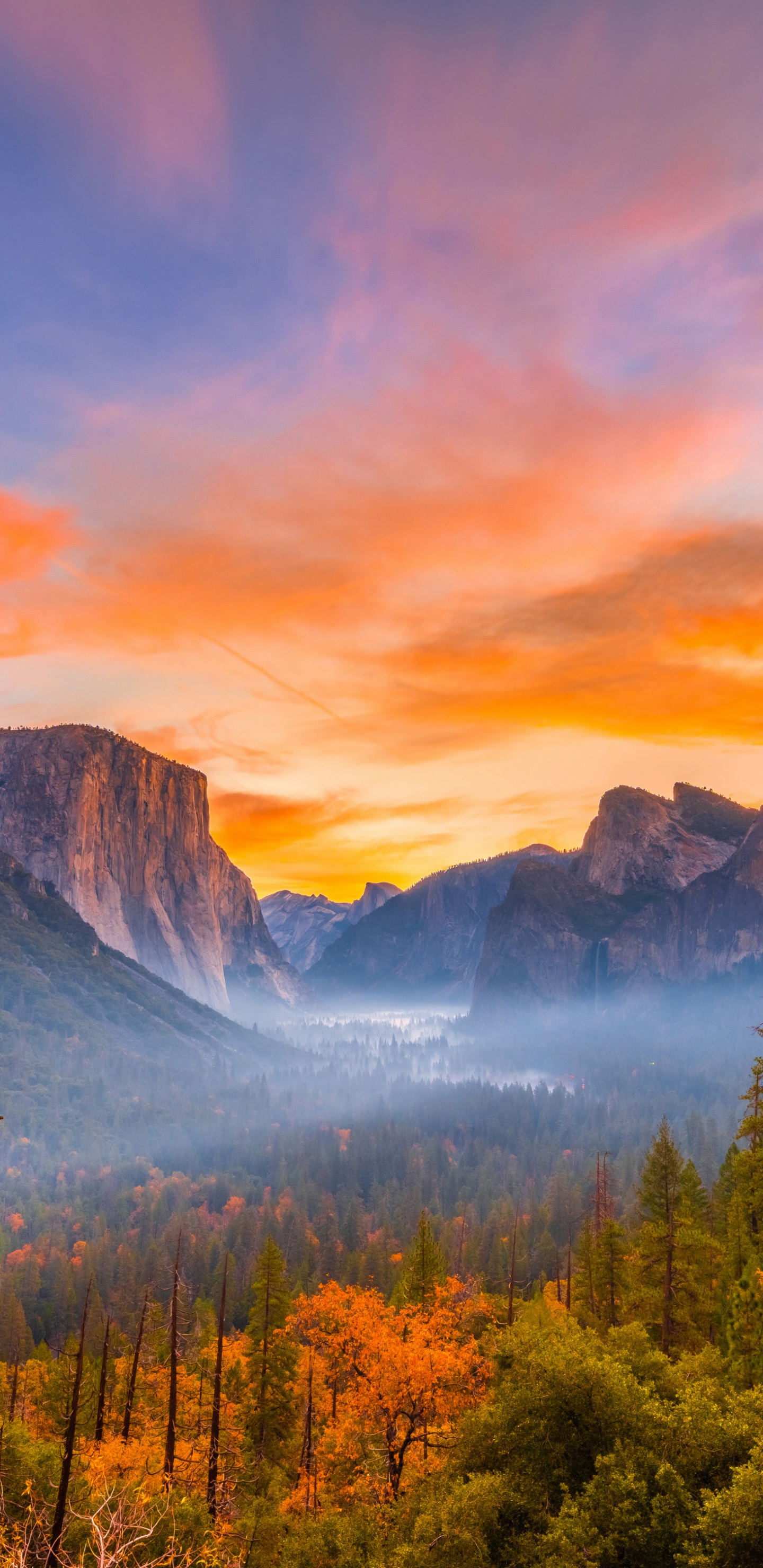 Обои йосемитский национальный парк, йосемити, национальный парк, парк, природа в разрешении 1440x2960