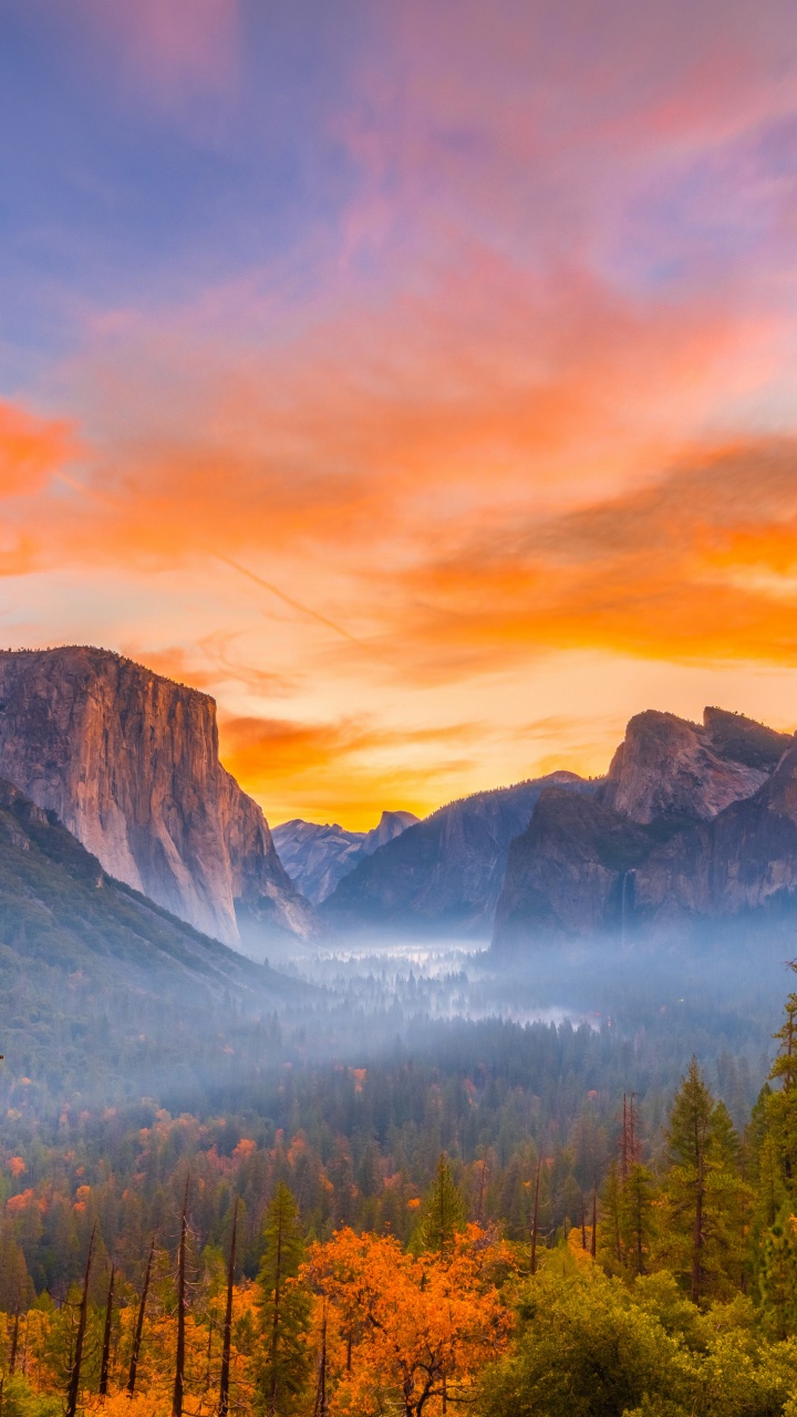 Обои йосемитский национальный парк, йосемити, национальный парк, парк, природа в разрешении 720x1280