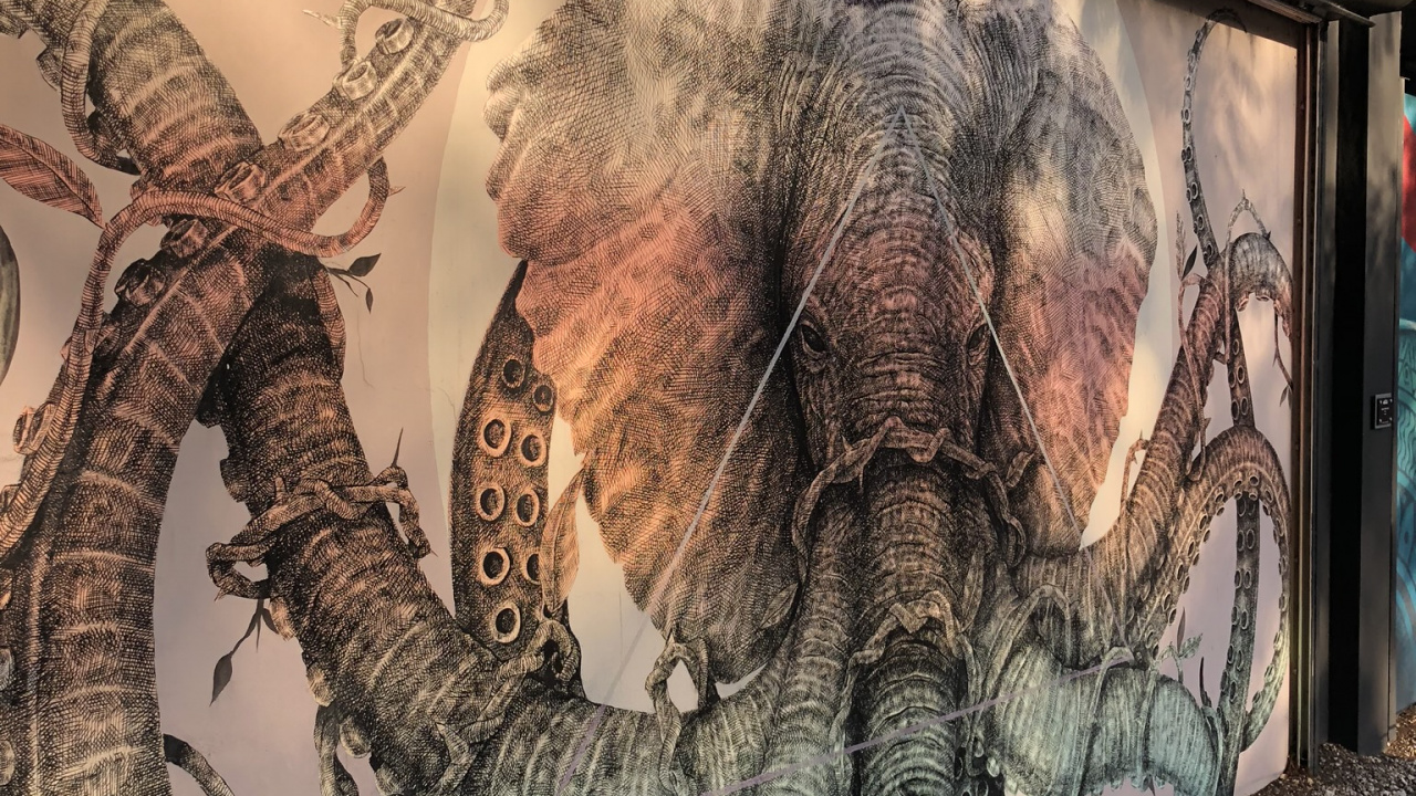 Обои арт, уличное искусство, граффити, фреска, визуальное искусство в разрешении 1280x720