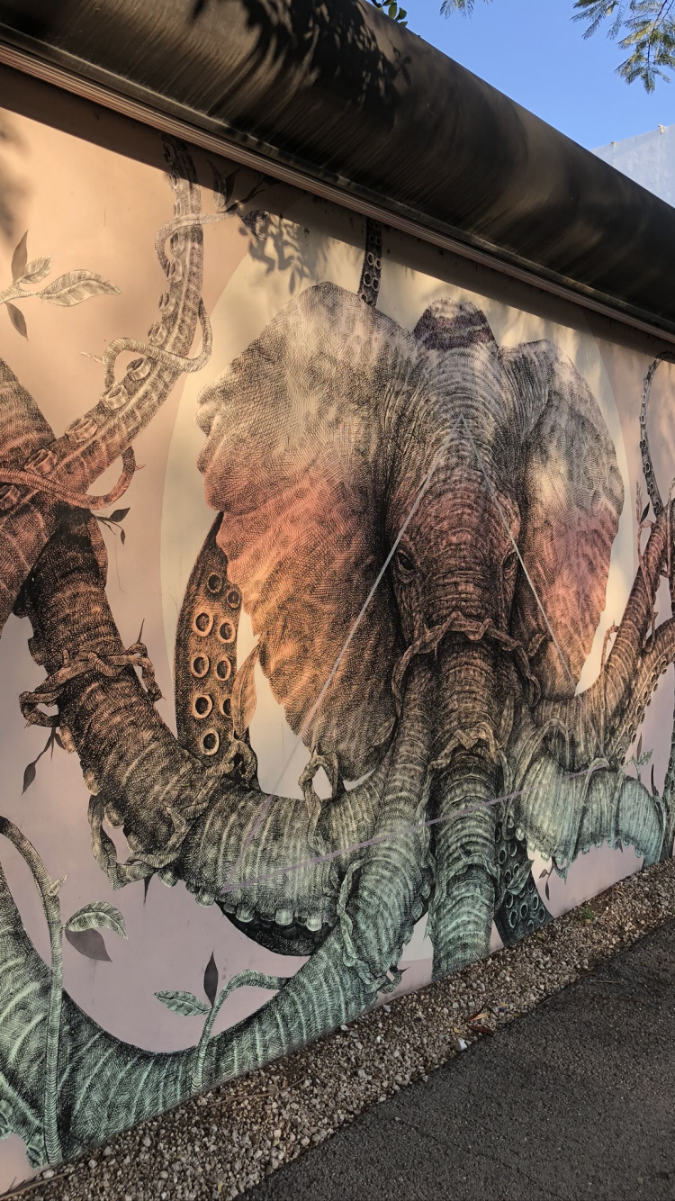 Обои арт, уличное искусство, граффити, фреска, визуальное искусство в разрешении 750x1334