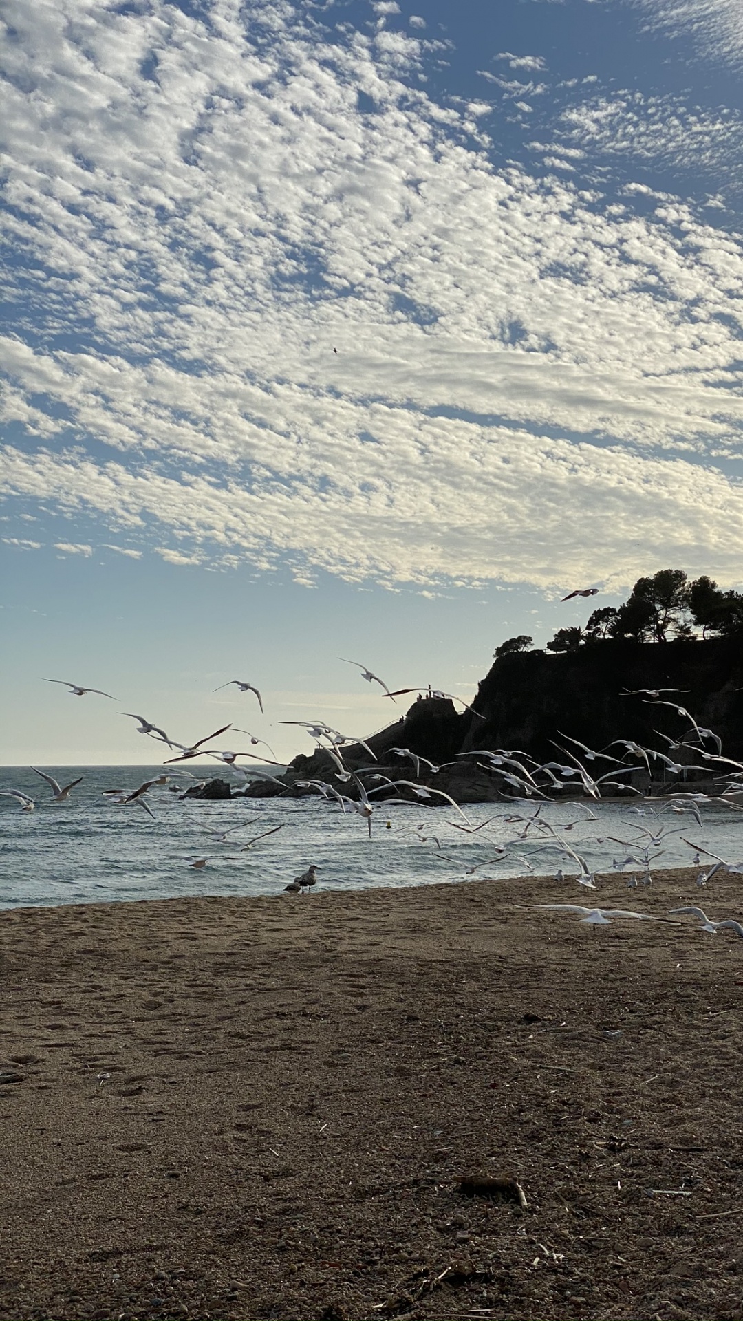 Обои море, вода, пляж, водоем, природа в разрешении 1080x1920