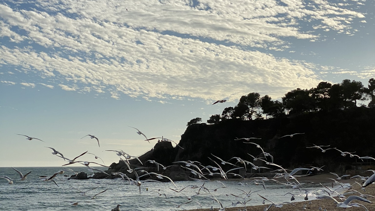 Обои море, вода, пляж, водоем, природа в разрешении 1280x720