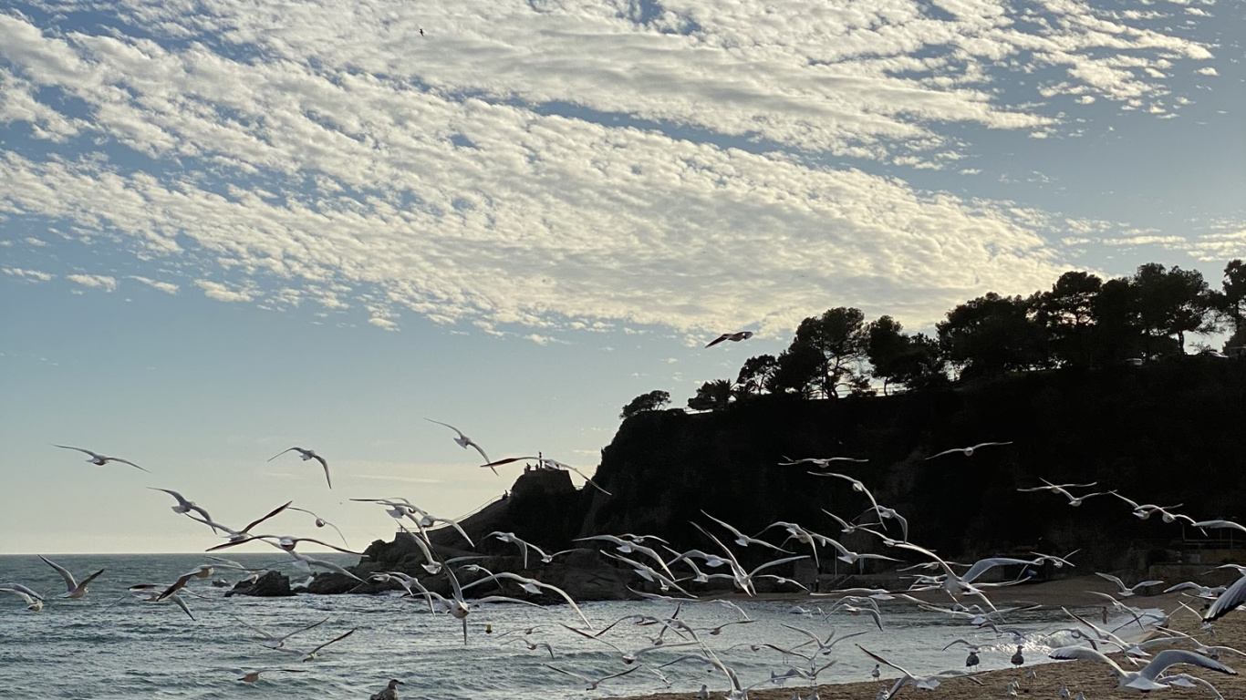 Обои море, вода, пляж, водоем, природа в разрешении 1366x768