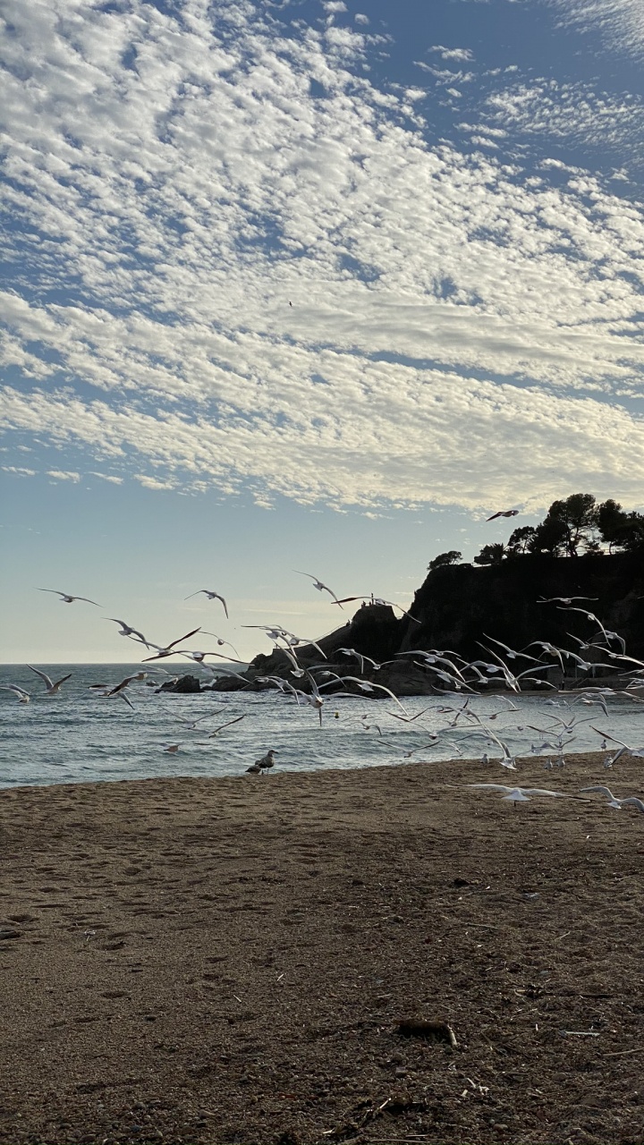 Обои море, вода, пляж, водоем, природа в разрешении 720x1280