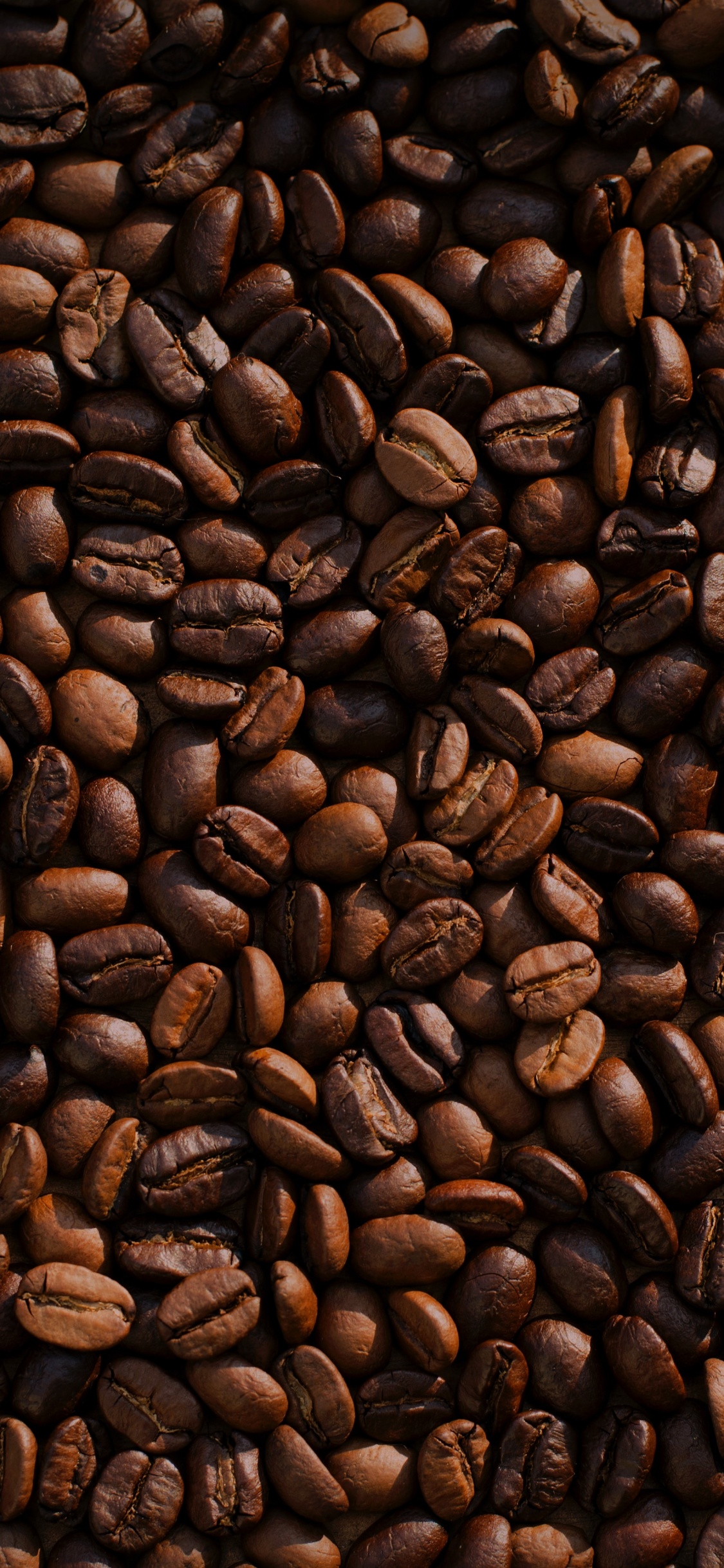 Обои кофе, кофейная гуща, кофе эспрессо, растворимый кофе, робуста в разрешении 1125x2436