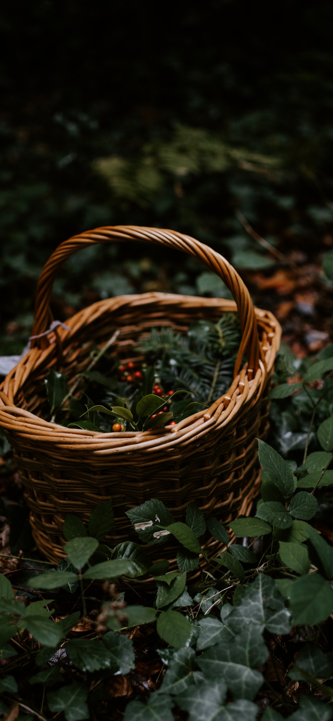 Обои домашние аксессуары, трава, Рождественский день, металл, плетеные в разрешении 1125x2436