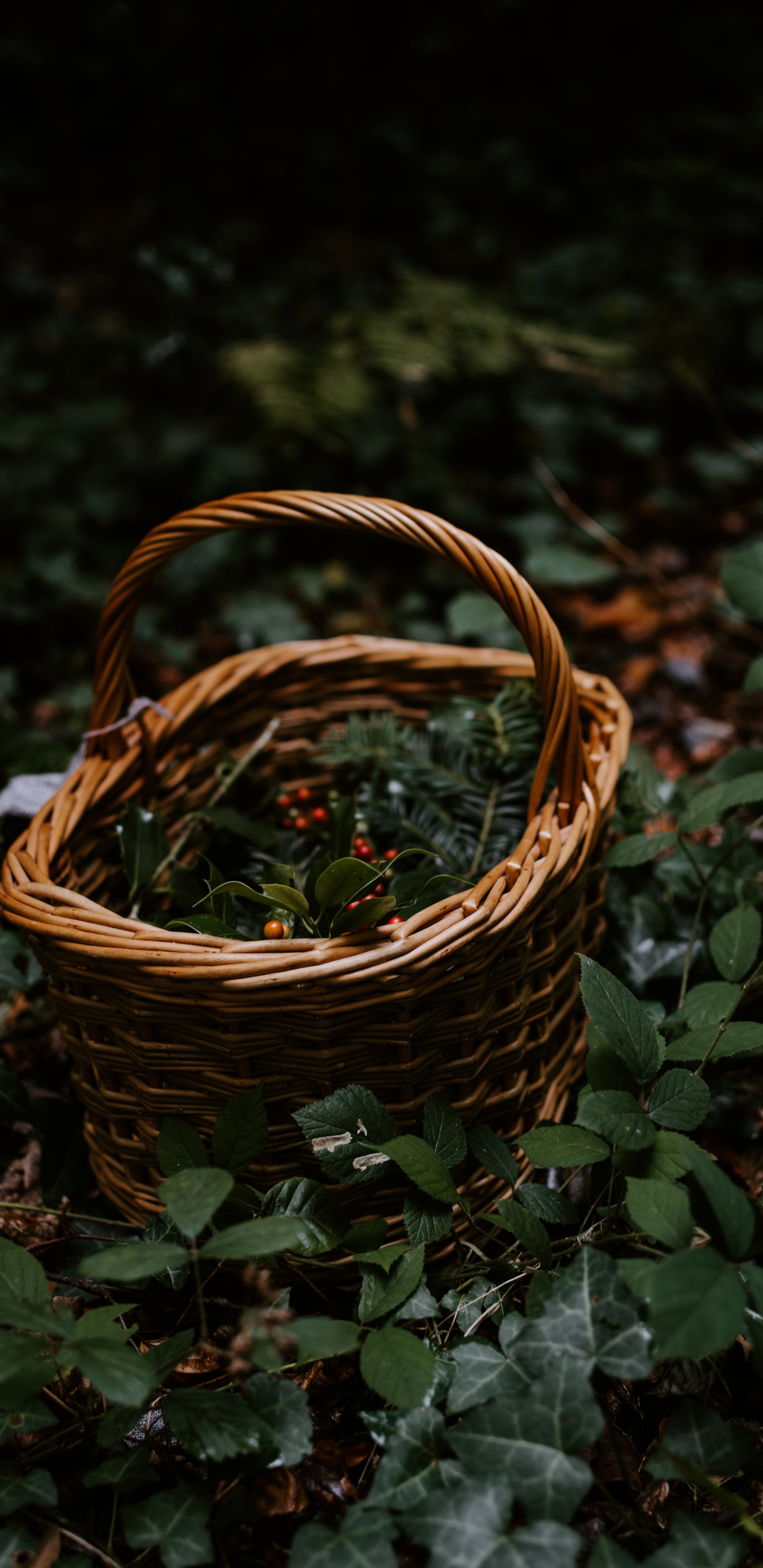 Обои домашние аксессуары, трава, Рождественский день, металл, плетеные в разрешении 1440x2960