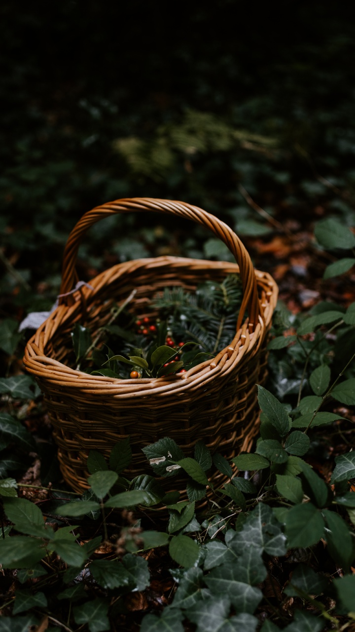 Обои домашние аксессуары, трава, Рождественский день, металл, плетеные в разрешении 720x1280