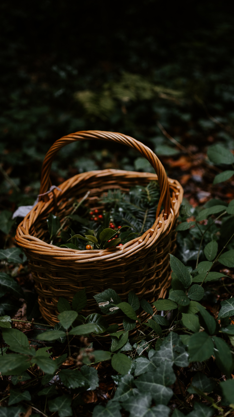 Обои домашние аксессуары, трава, Рождественский день, металл, плетеные в разрешении 750x1334