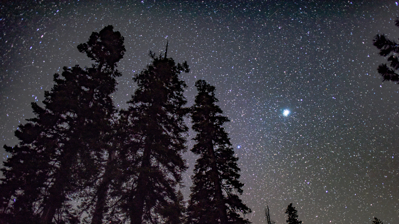 Обои сосна силуэт ночное небо, дерево, силуэт, сосна, атмосфера в разрешении 1366x768