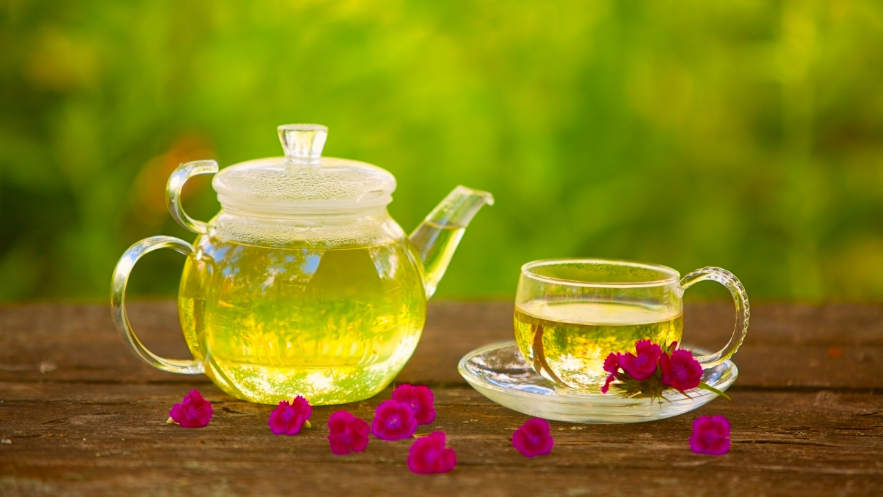 Обои зеленый чай, чай, цветение чай, блюдце, чаша в разрешении 1280x720