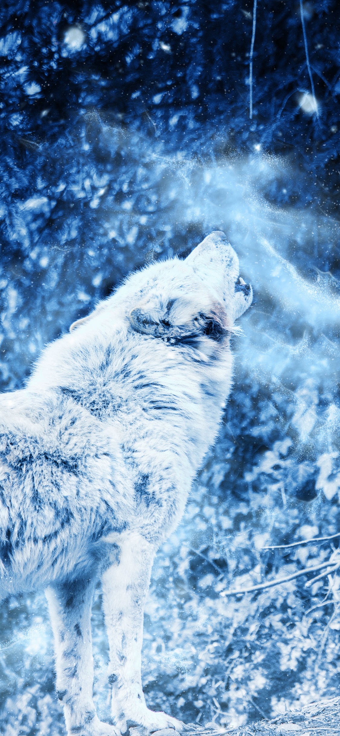 Обои арктический волк, синий, Псовые, вода, пес в разрешении 1125x2436