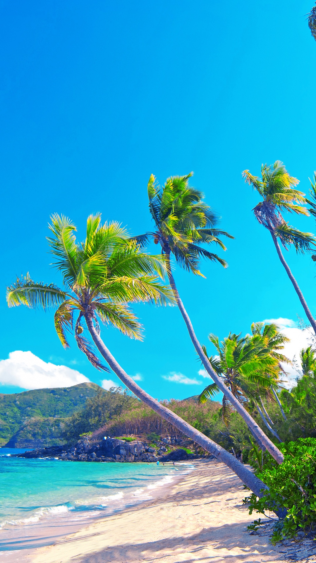 Обои природа, пляж, море, побережье, берег в разрешении 1080x1920