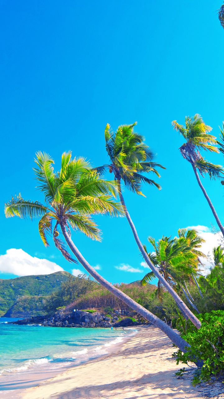 Обои природа, пляж, море, побережье, берег в разрешении 720x1280