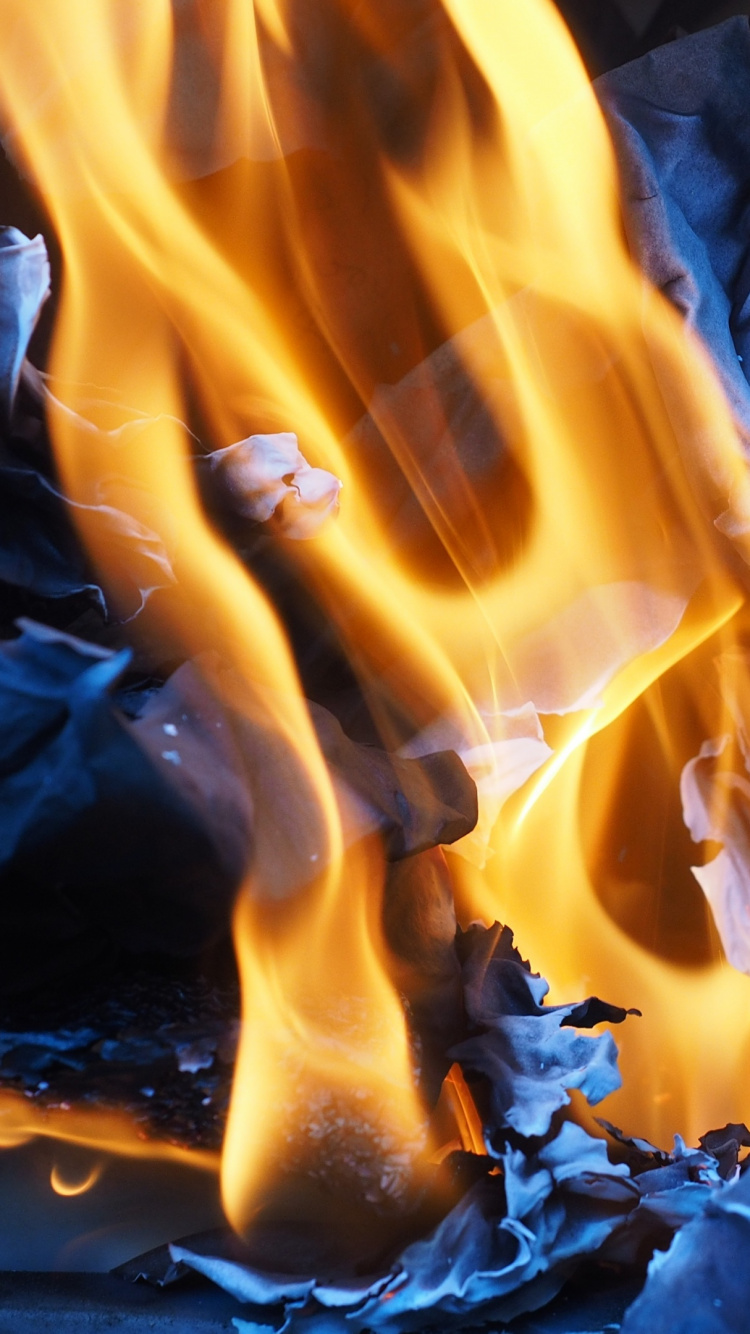 Обои огонь, сгорание, тепло, голубой, желтый в разрешении 750x1334