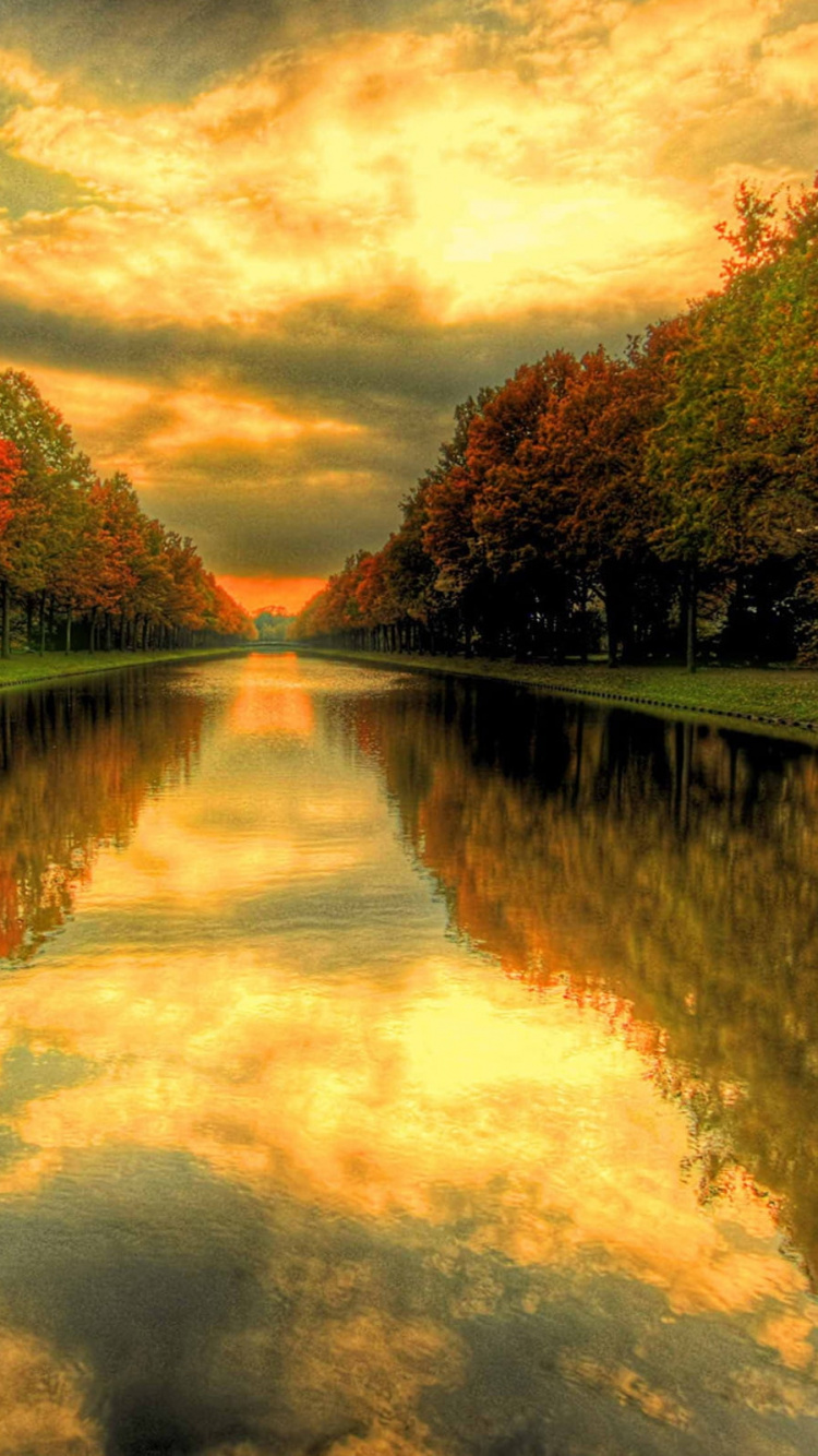 Обои осень, отражение, природа, вода, дерево в разрешении 750x1334