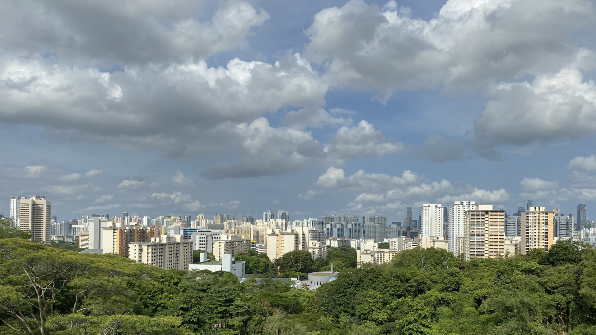 Обои ландшафтный архитектор, растительность, природа, дневное время, облако в разрешении 1920x1080