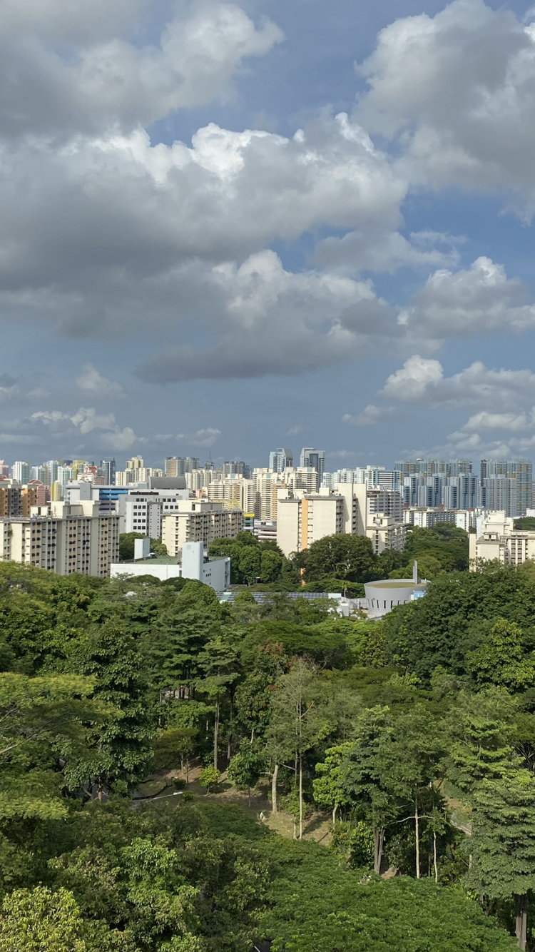 Обои ландшафтный архитектор, растительность, природа, дневное время, облако в разрешении 750x1334