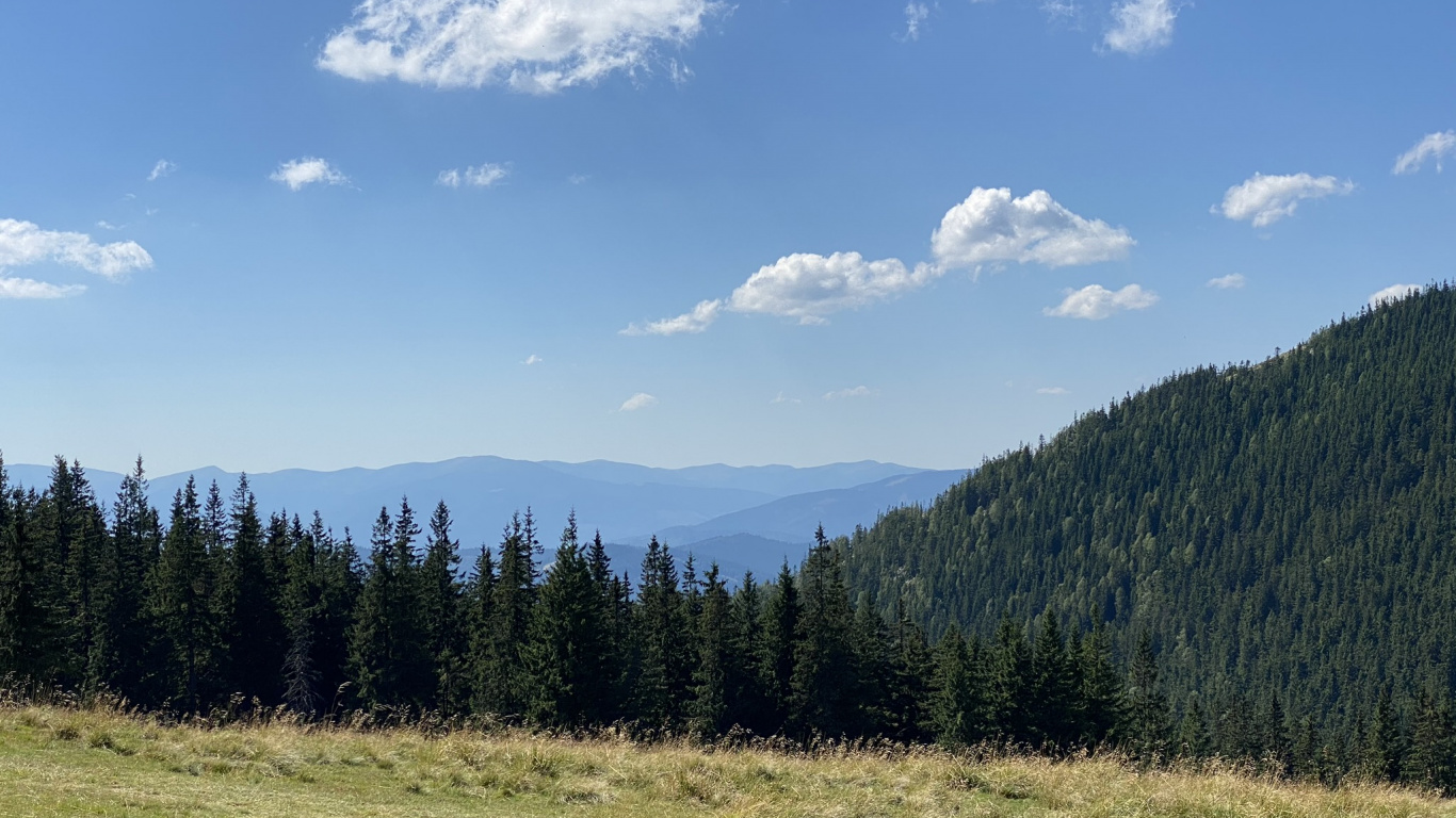 Обои сенокосное угодье, природа, растительность, окружающая среда, природный ландшафт в разрешении 1366x768