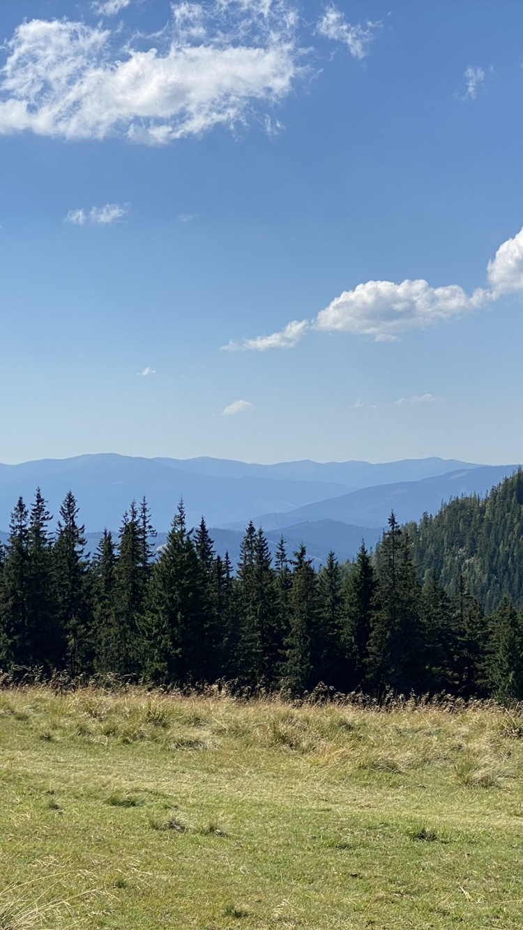 Обои сенокосное угодье, природа, растительность, окружающая среда, природный ландшафт в разрешении 750x1334