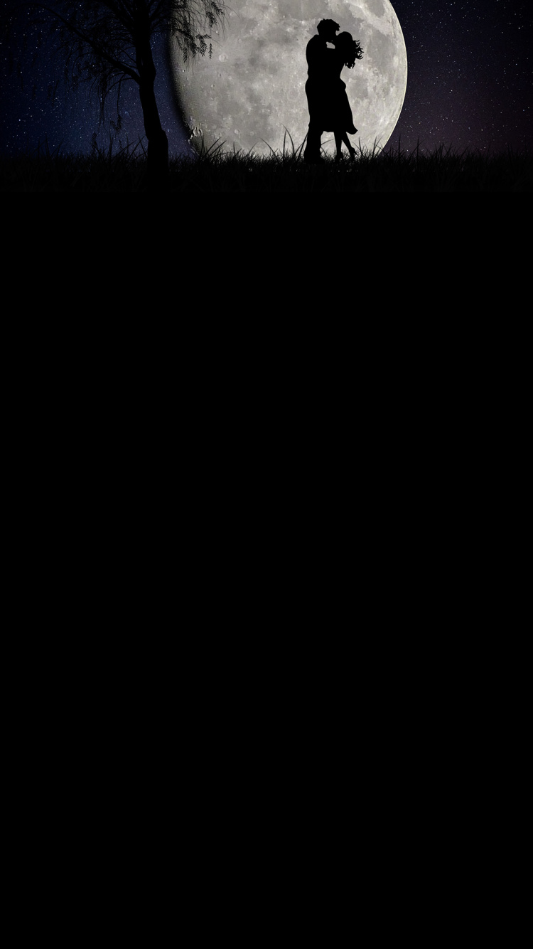 Обои луна, черный и белый, ночь, природа, человек в разрешении 750x1334