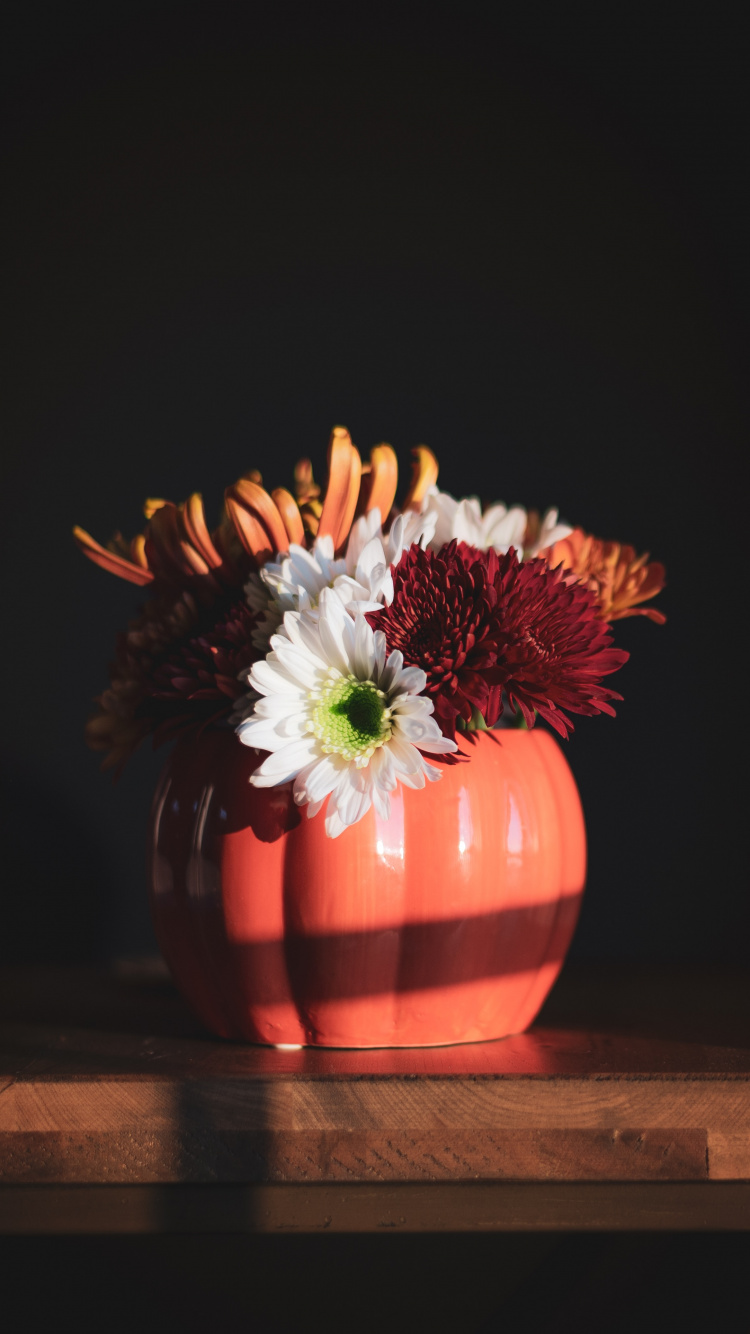 Обои Апельсин, ваза, растение, apple, цветочный дизайн в разрешении 750x1334